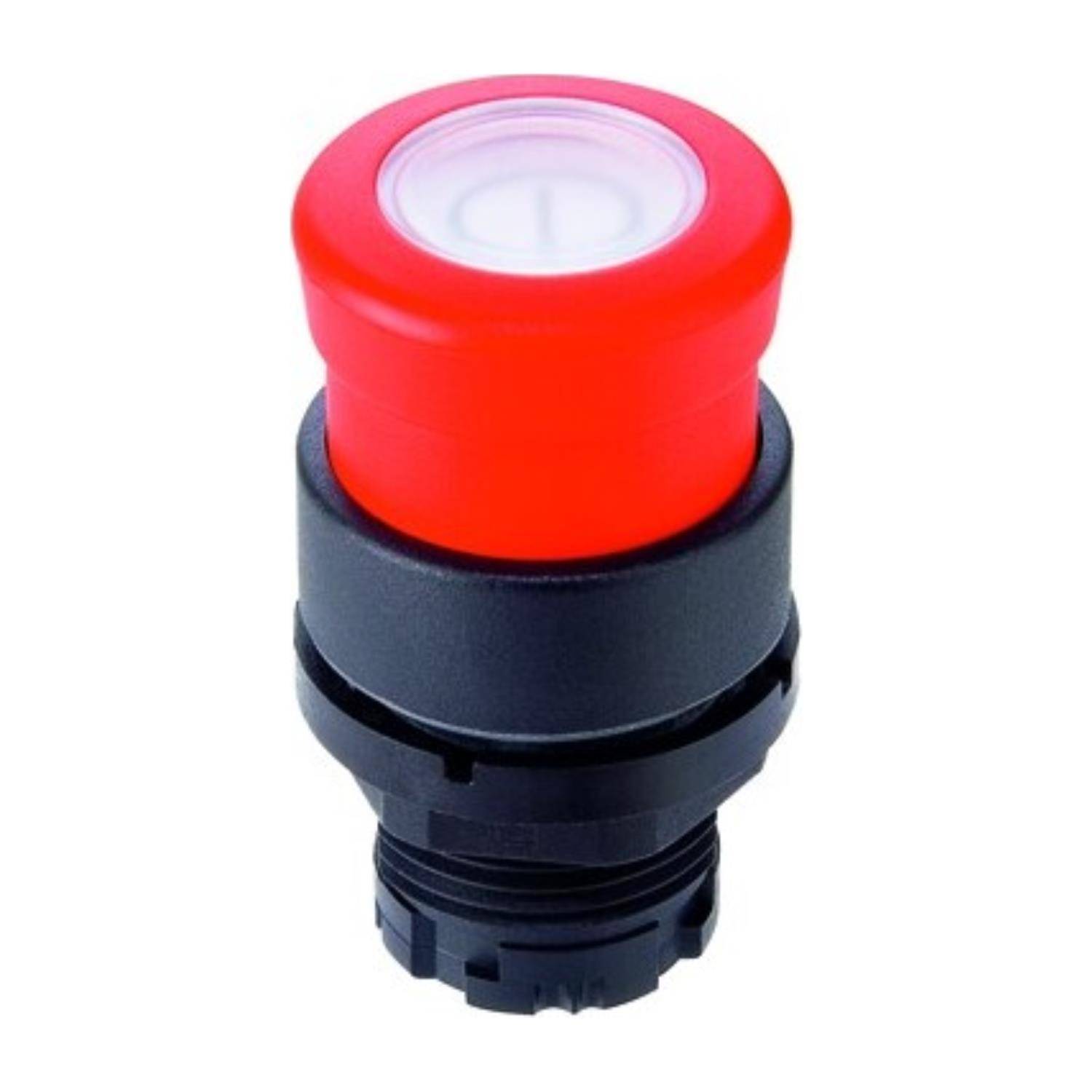 Georg Schlegel DXRSL28SGN - 1 Stück