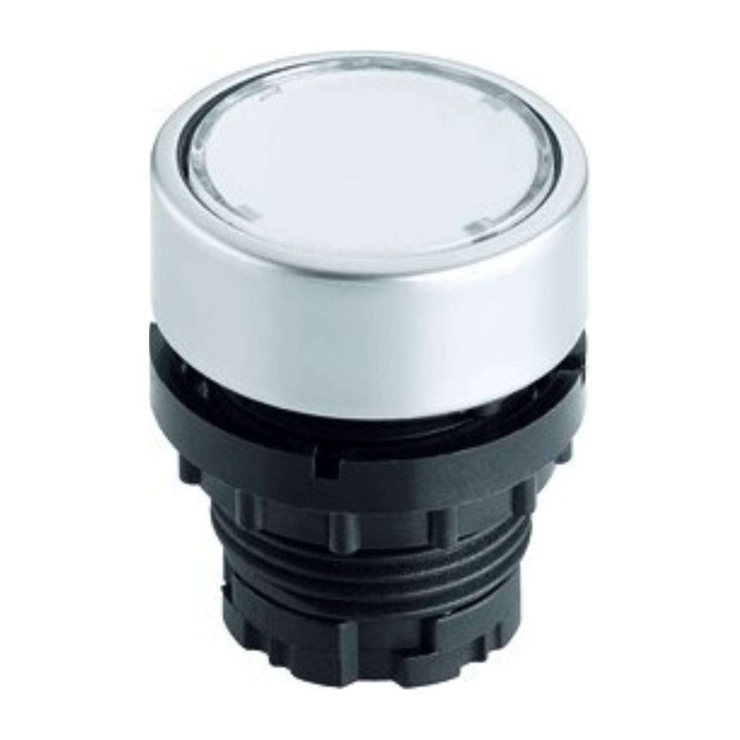 Georg Schlegel DXRTLCGN - 1 Stück