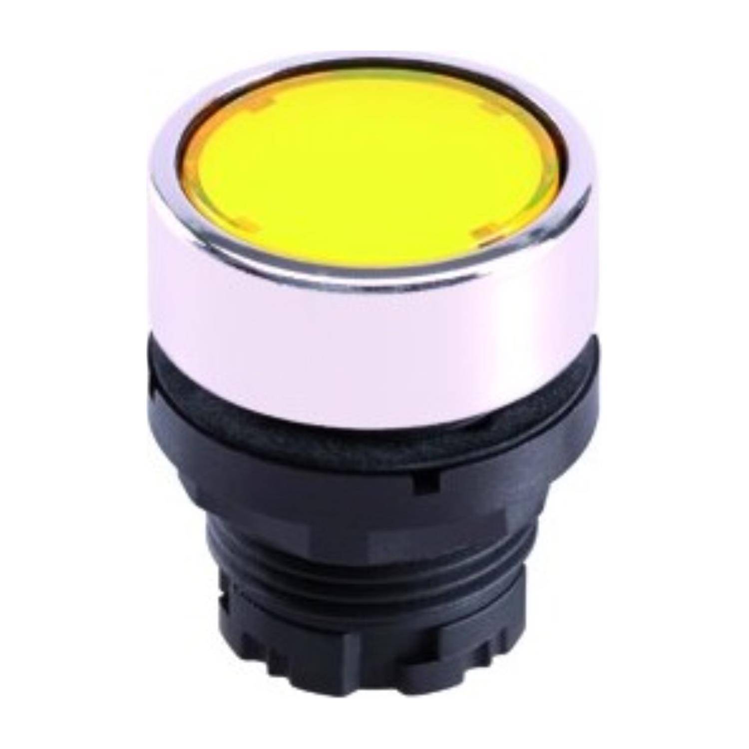 Georg Schlegel DXRNFMGN - 1 Stück