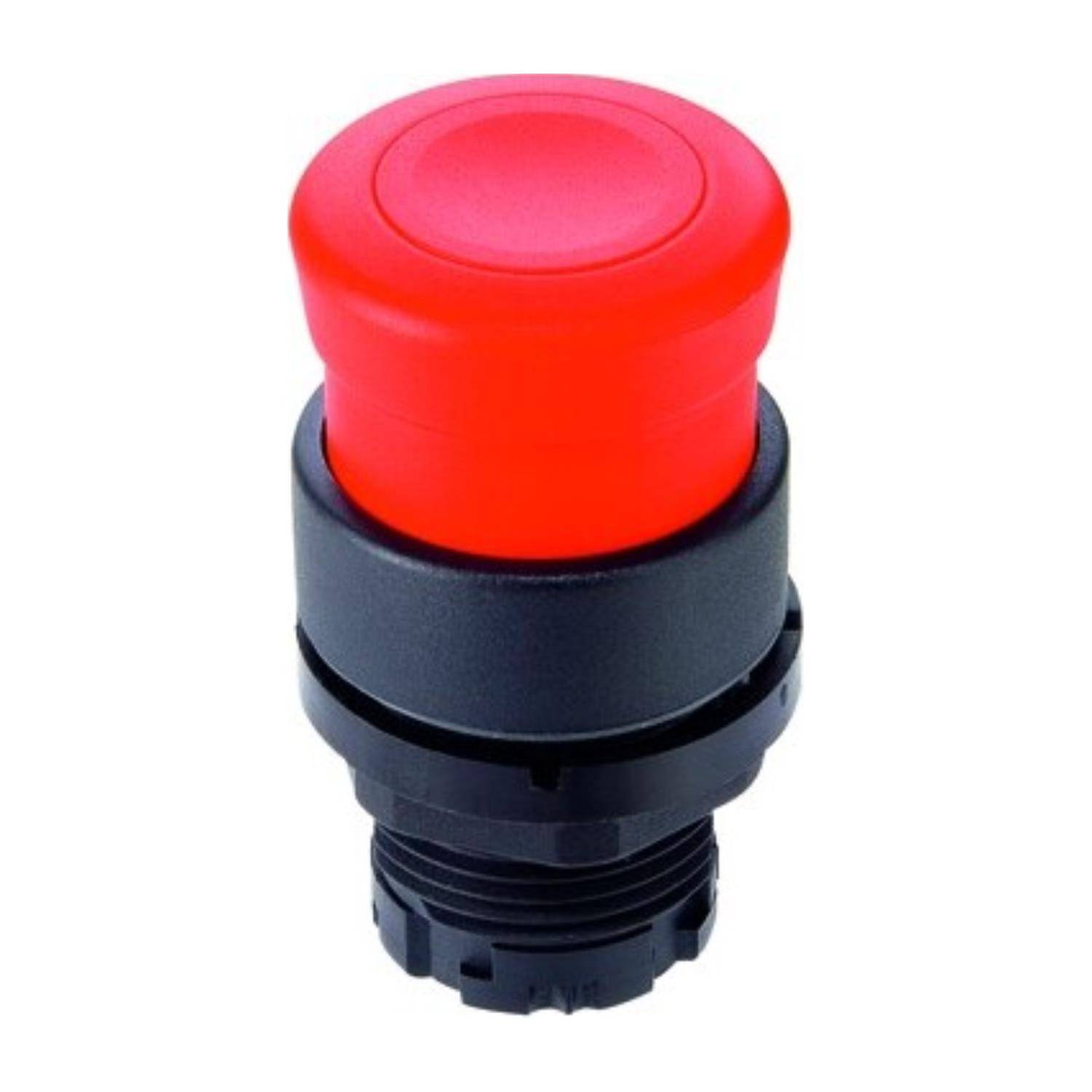 Georg Schlegel DXRS28CGN - 1 Stück