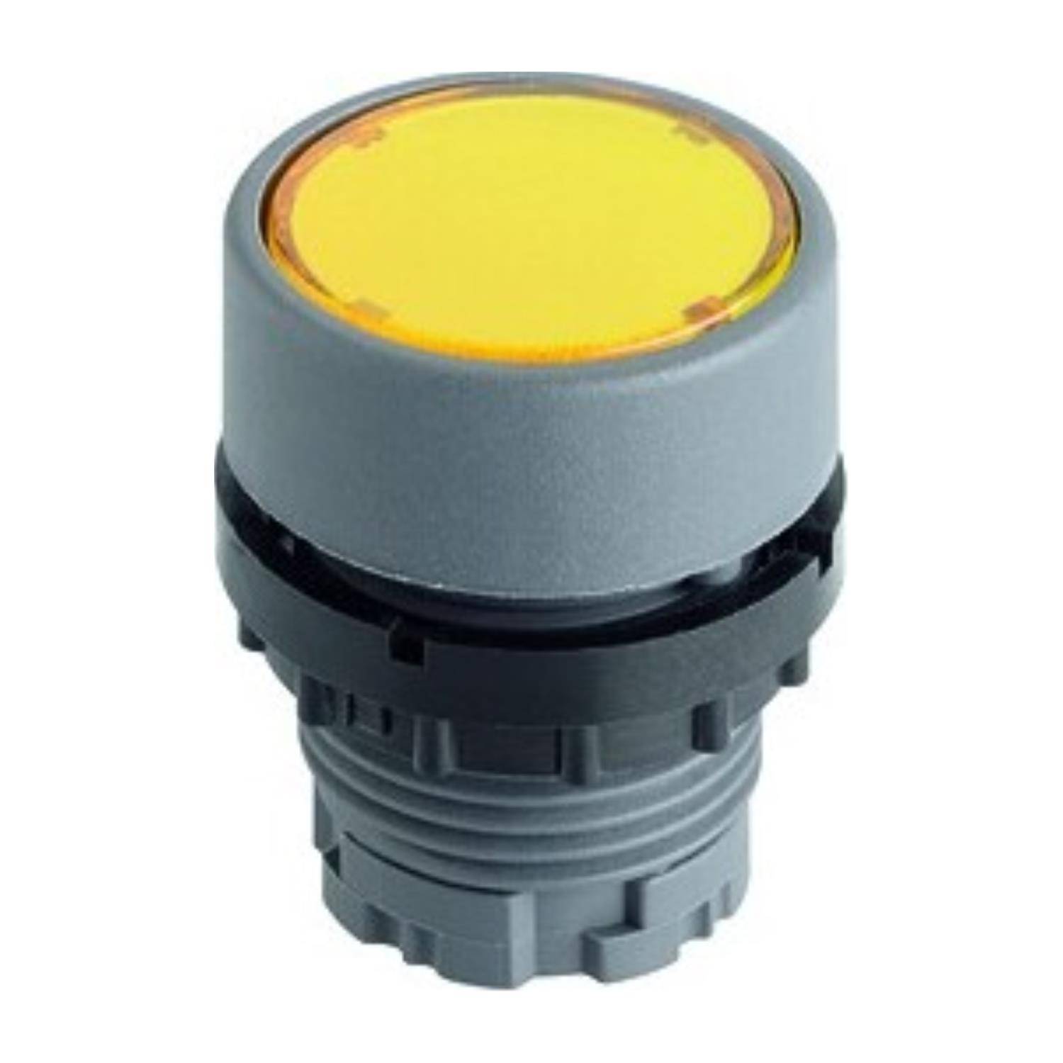 Georg Schlegel DXRTGWS - 1 Stück