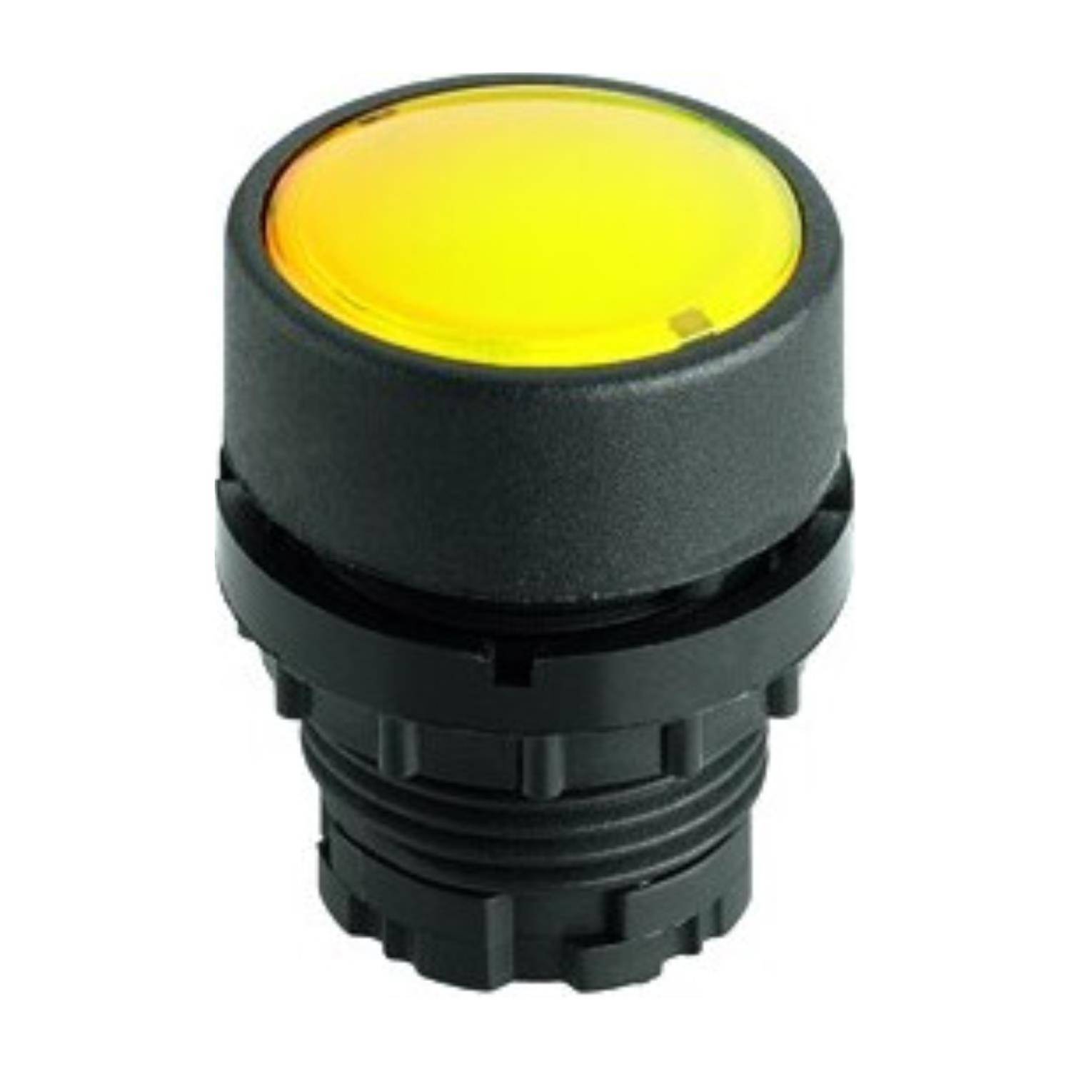 Georg Schlegel DXRNKSKL - 1 Stück