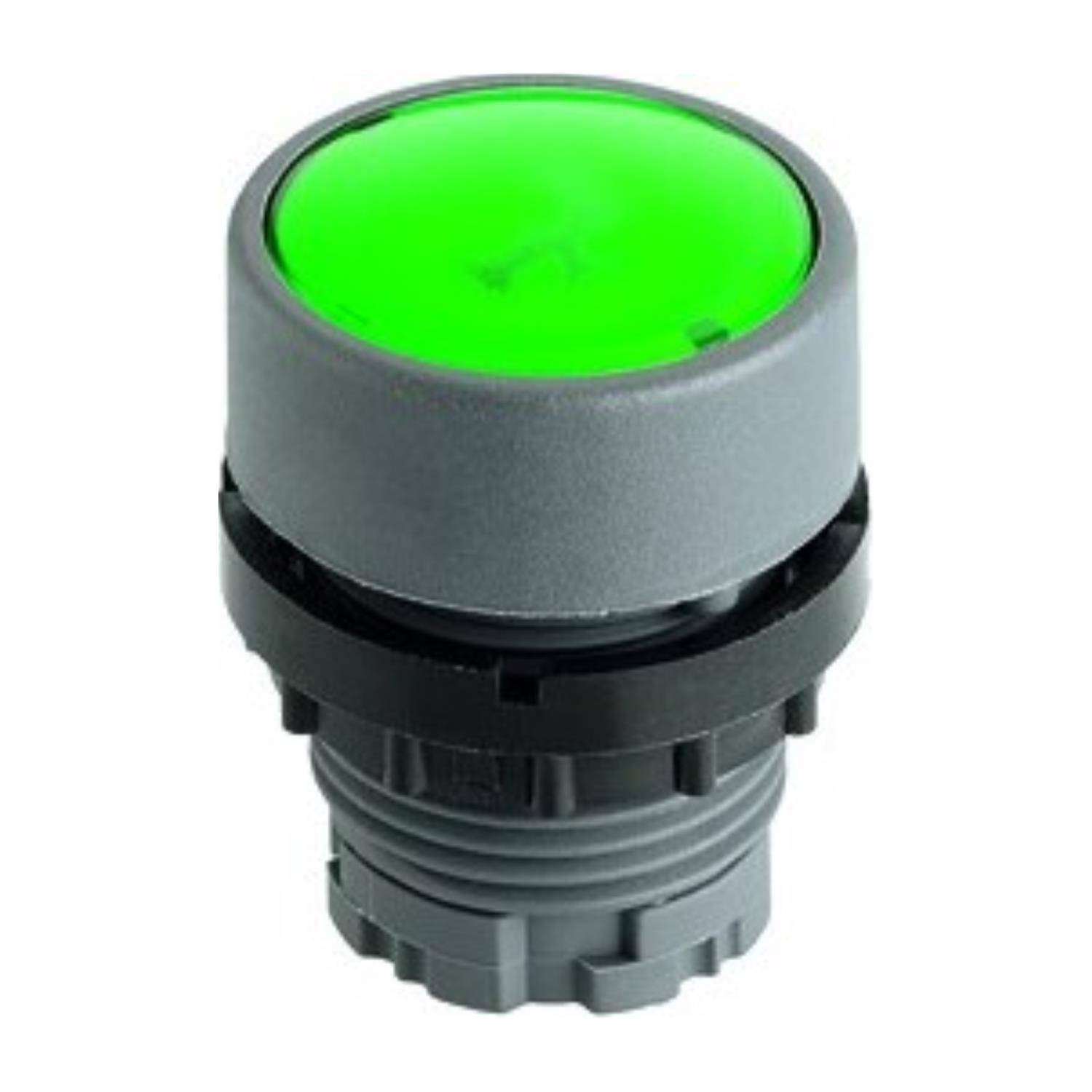 Georg Schlegel DXRNKGBL - 1 Stück