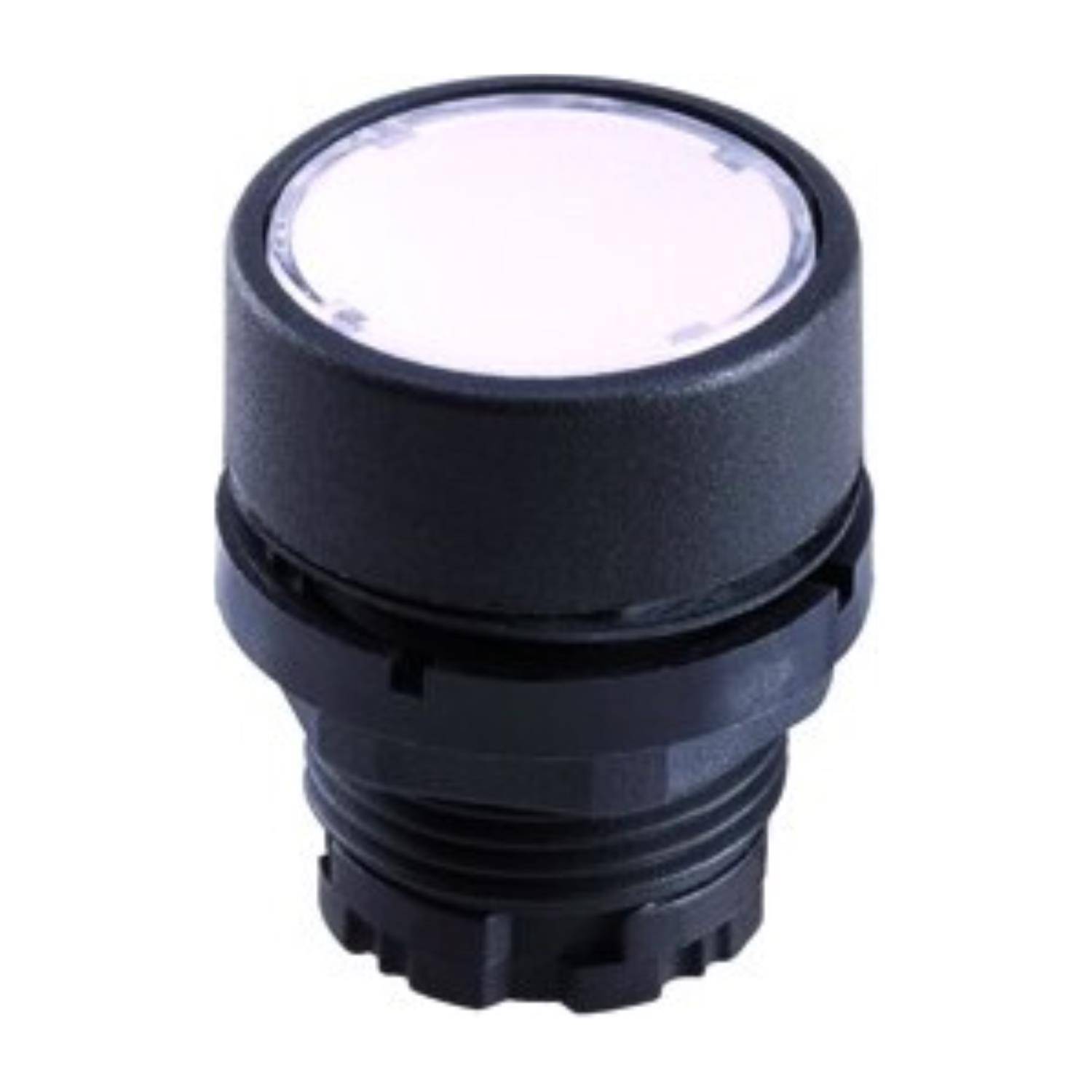 Georg Schlegel DXRNFSGB - 1 Stück