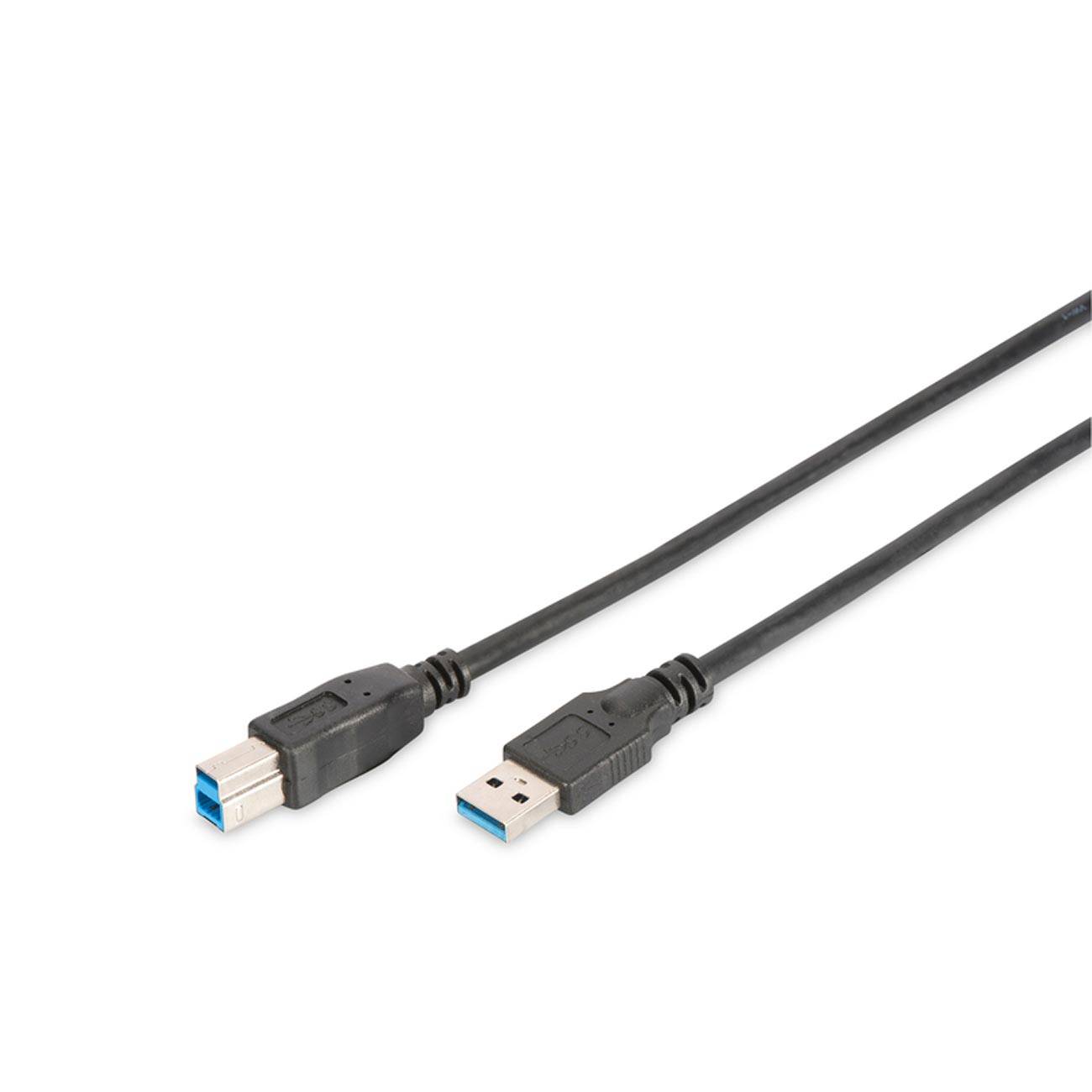 Ein schwarzes USB-3.0-Kabel mit einem blau gekennzeichneten Type-A-Stecker an einem Ende und einem blau gekennzeichneten Type-B-Stecker am anderen Ende.