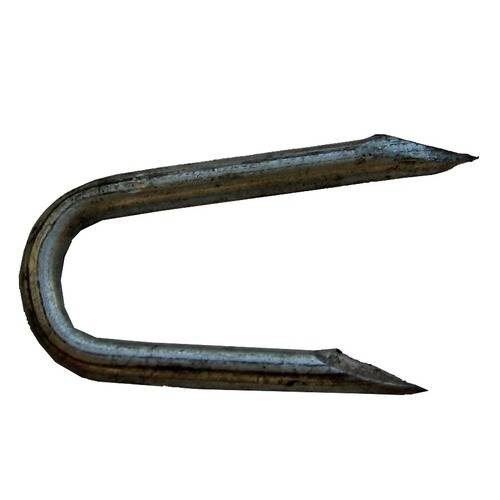 Eine Nahaufnahme einer einzelnen, gekrümmten, metallischen Zaunklammeran mit scharfen Enden, die zum Befestigen von Draht an Holzpfosten verwendet wird.