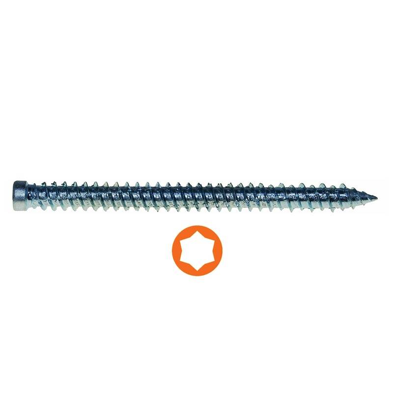 Eine Metallschraube mit einer spitzen Spitze und einem Torx-Kopf darunter.