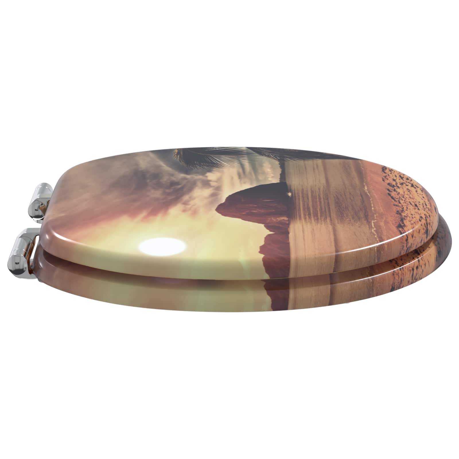 Toilettensitzdeckel mit einer malerischen Wüstenlandschaft mit Felsformationen und untergehender Sonne.