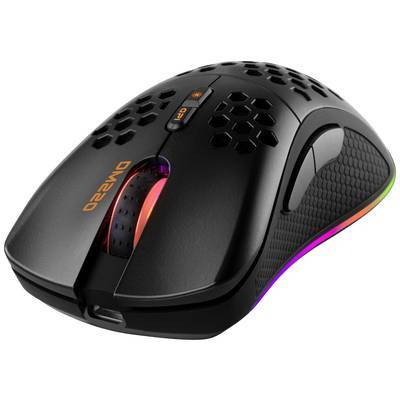 Eine schwarze Gaming-Maus mit Wabendesign und RGB-Beleuchtung, ausgestattet mit Seitentasten und einem Scrollrad.