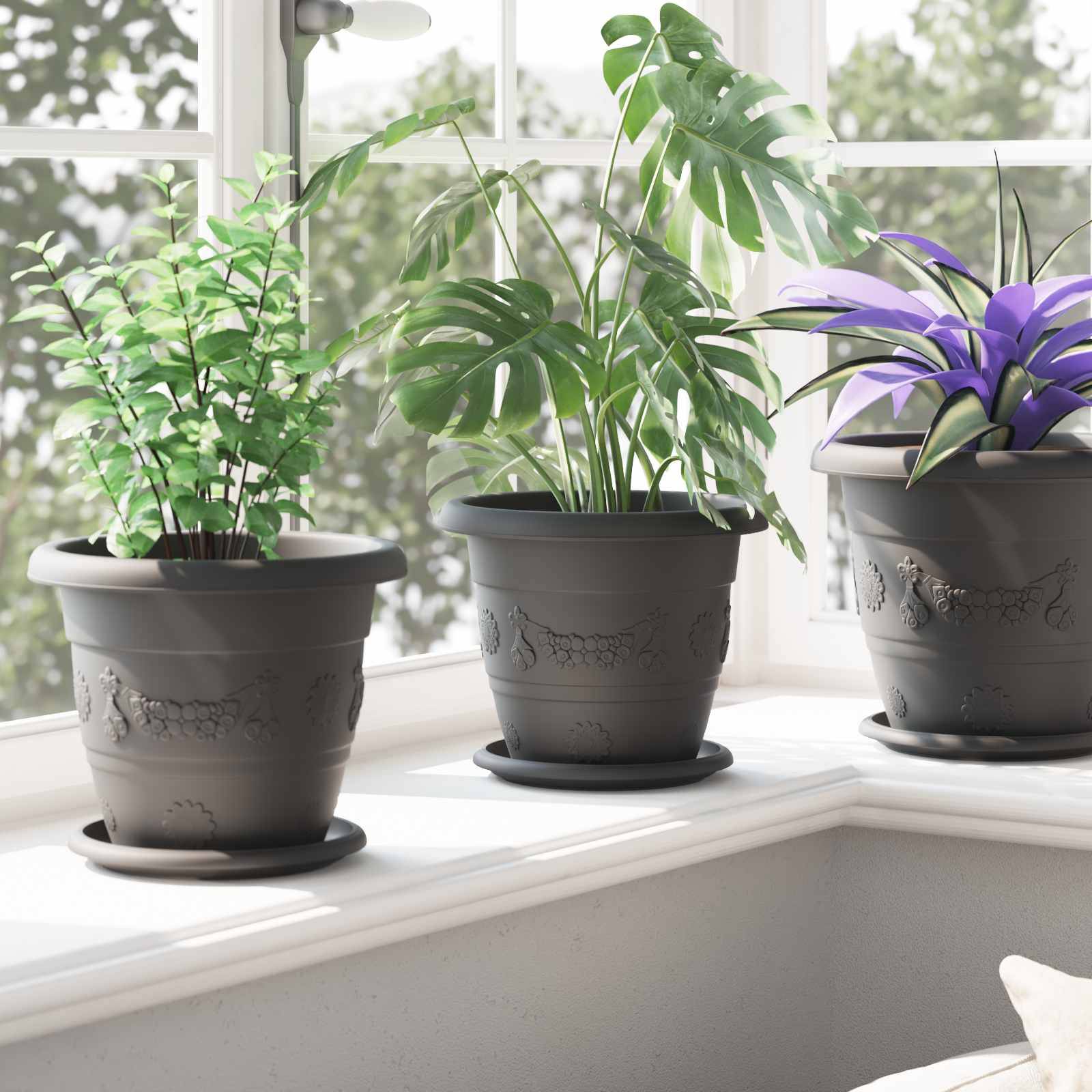 Drei Topfpflanzen auf einer sonnigen Fensterbank mit grünem und violettem Laub schaffen eine dekorative und frische Atmosphäre im Zimmer.