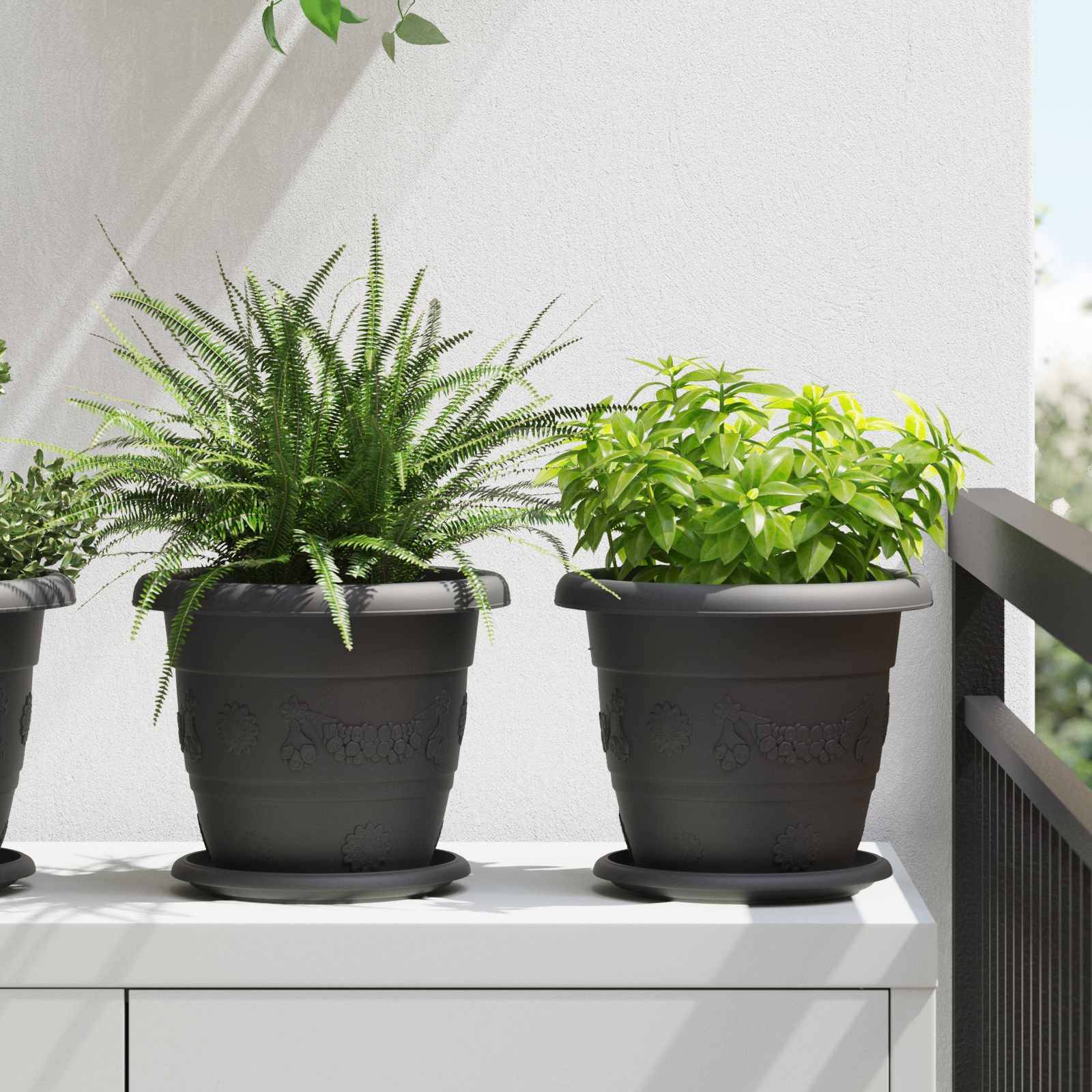 Zwei Topfpflanzen, eine mit farnähnlichen Blättern und die andere mit kleinen grünen Blättern, auf einem Patio-Sims mit einem Geländer auf der rechten Seite platziert.