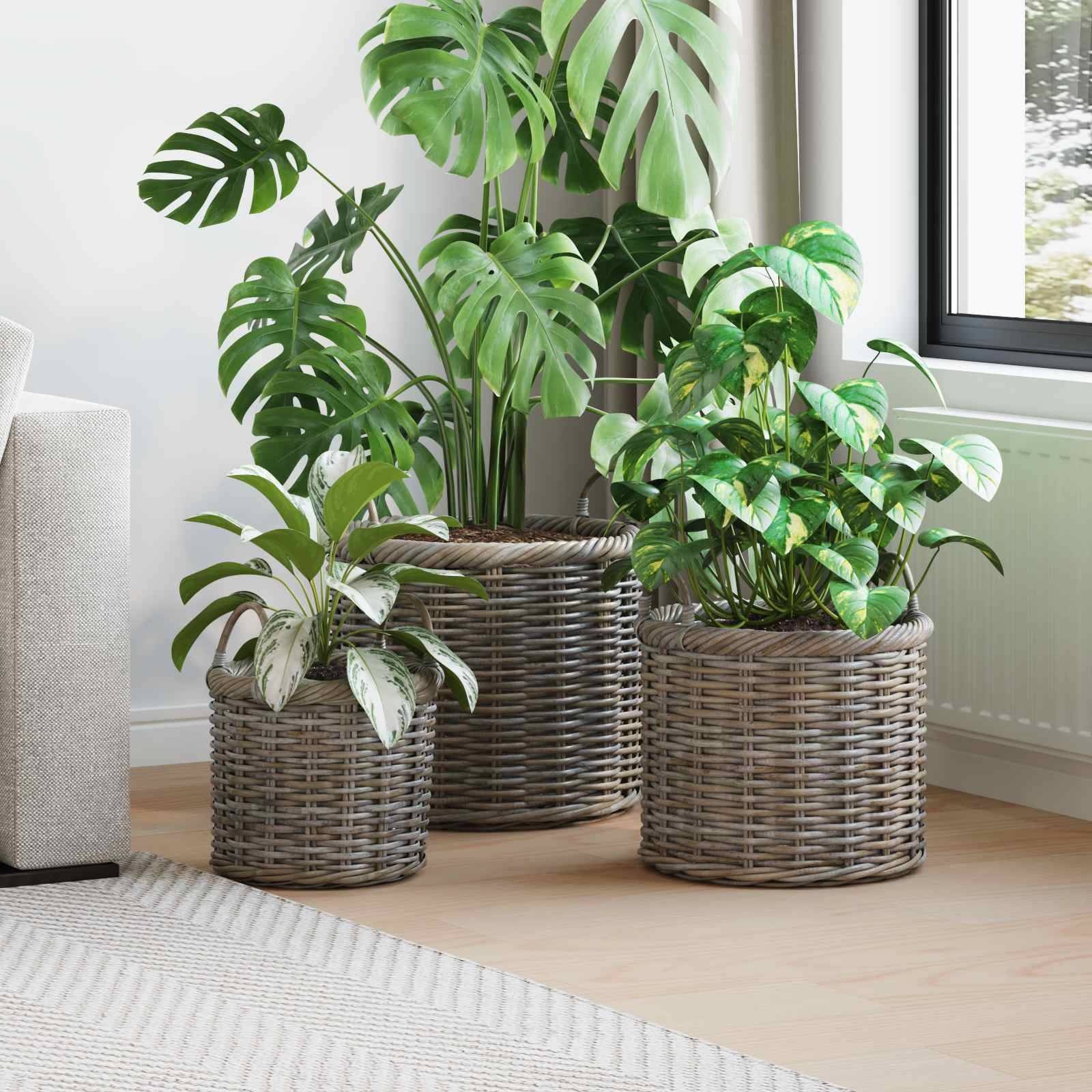 vidaXL Pflanzkorb-Set mit Stauraum 3 Stück Kubu Grau Kubu-Rattan