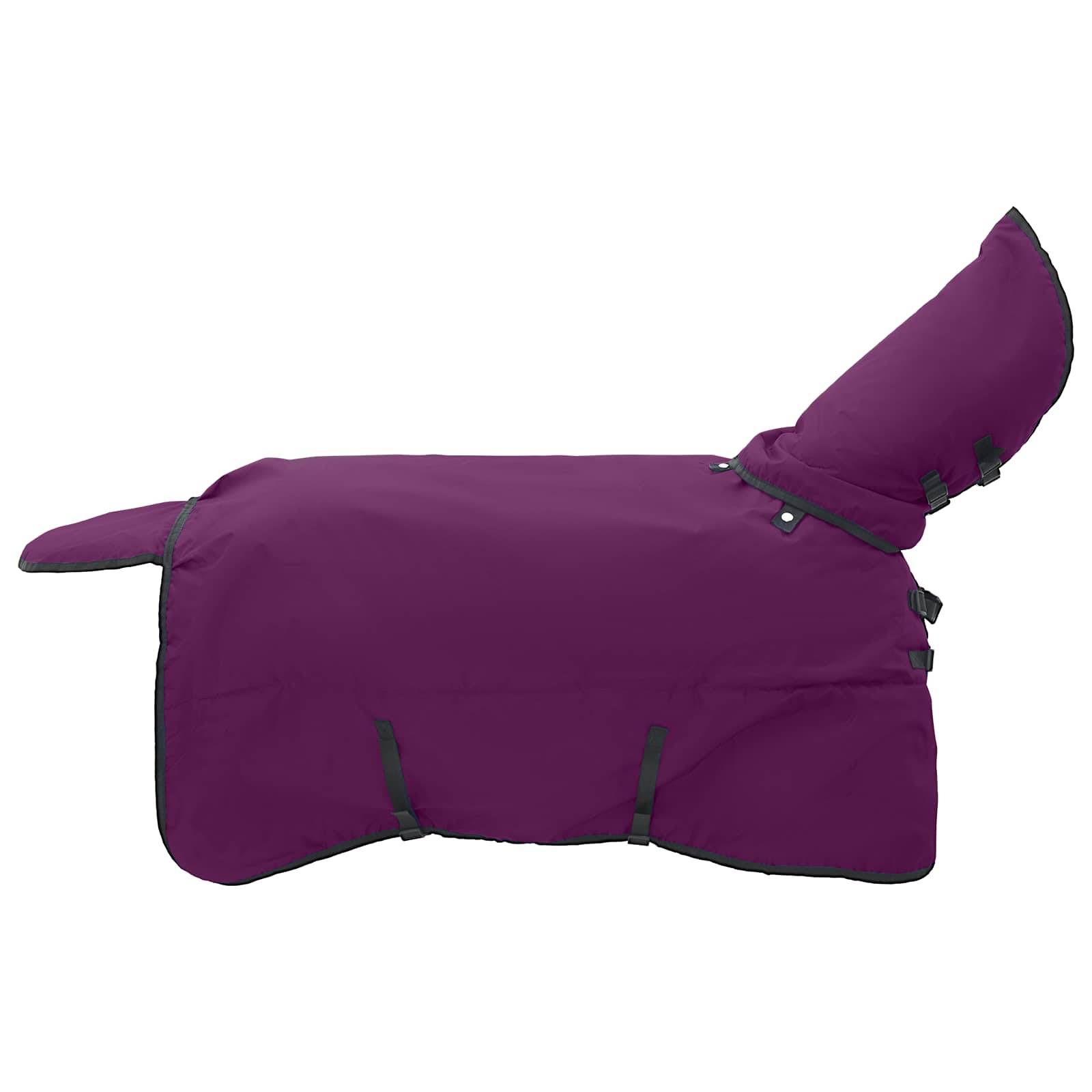Eine violette Pferdedecke mit Halsteil, die zum Schutz konzipiert ist und über verstellbare Riemen und Clips verfügt.