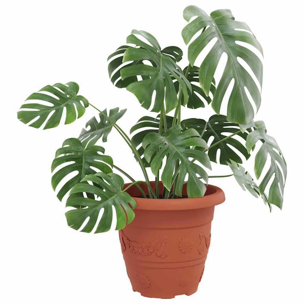 Ein moderner Holzschreibtisch mit ordentlich angeordneten Schreibwaren und Deko, eine Pflanze auf dem Boden und eine Pinnwand mit Fotos an der Wand darüber.