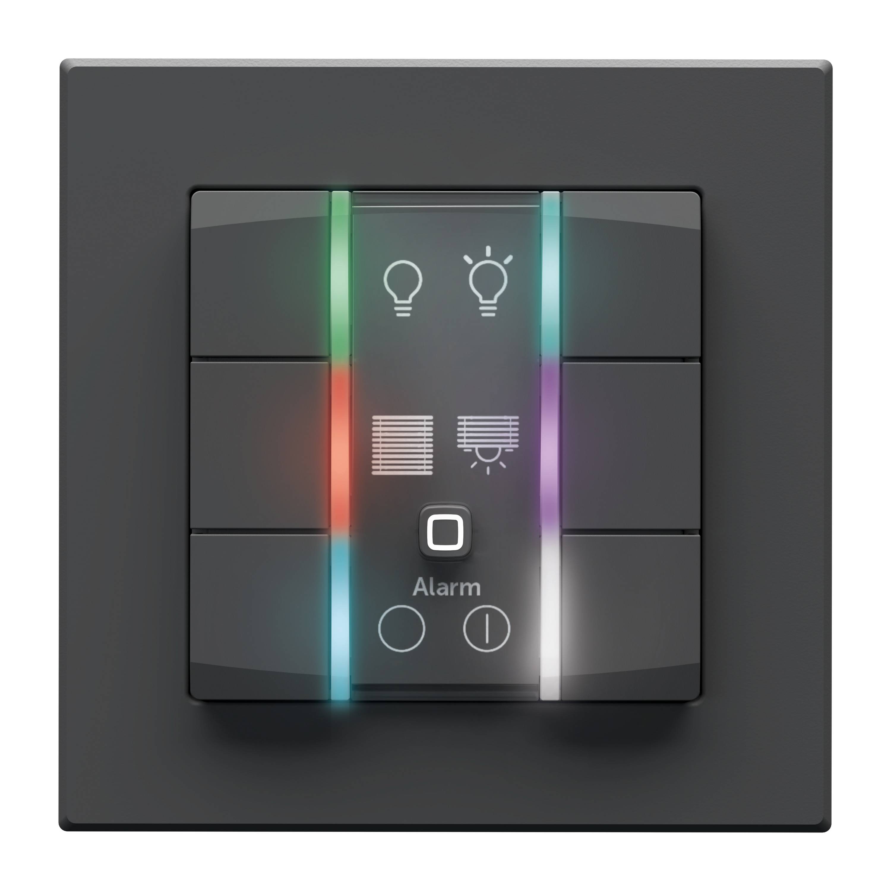 HOMEMATIC IP 162028A0, Wandtaster, 6-fach, 230 V, anthrazit
