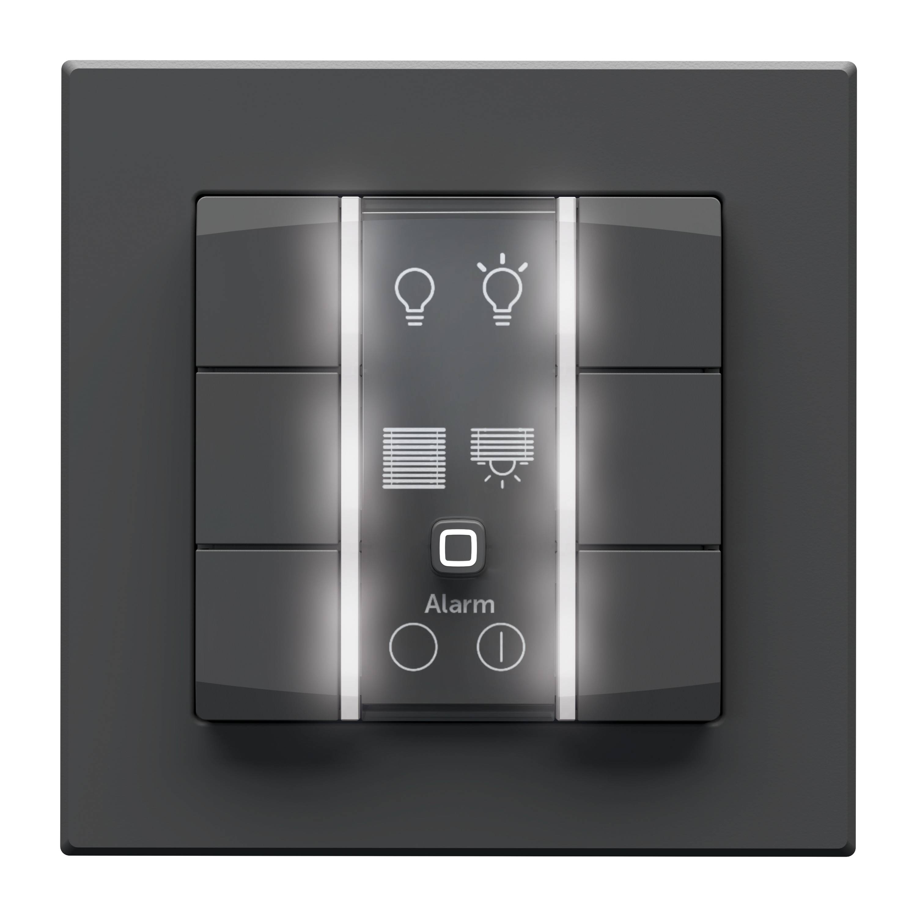 HOMEMATIC IP 162028A0, Wandtaster, 6-fach, 230 V, anthrazit