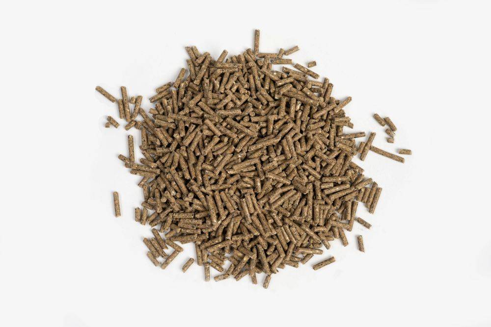 Ein Haufen einheitlicher, zylindrischer brauner Pellets auf weißem Hintergrund, die Tiernahrung oder Holzpellets ähneln.