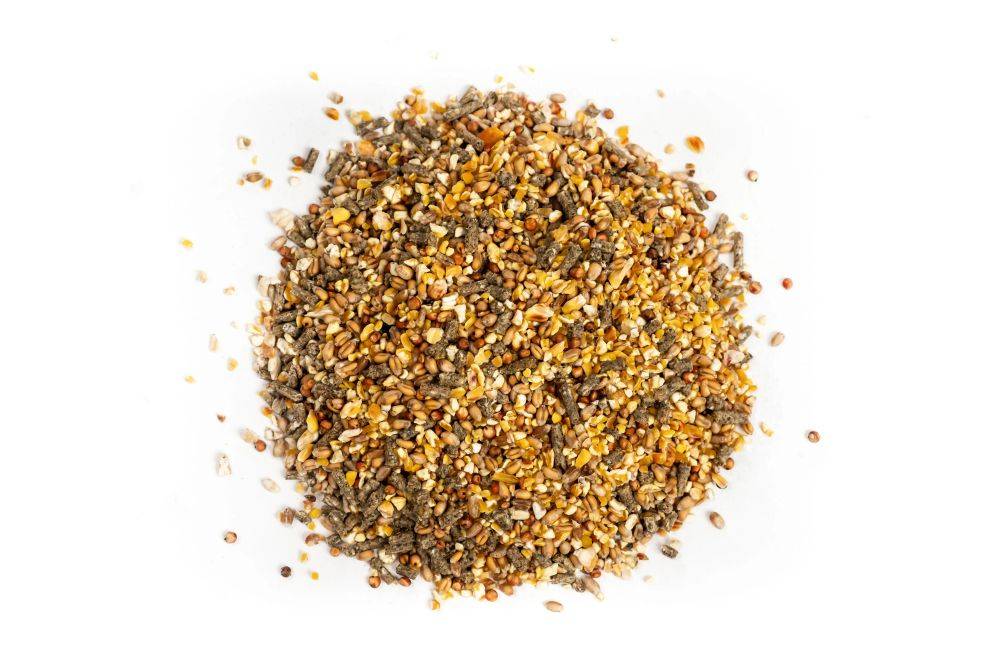Ein Haufen gemischter Vogelsamen mit verschiedenen Körnern und Samen in Braun-, Gelb- und Weißtönen auf weißem Hintergrund.
