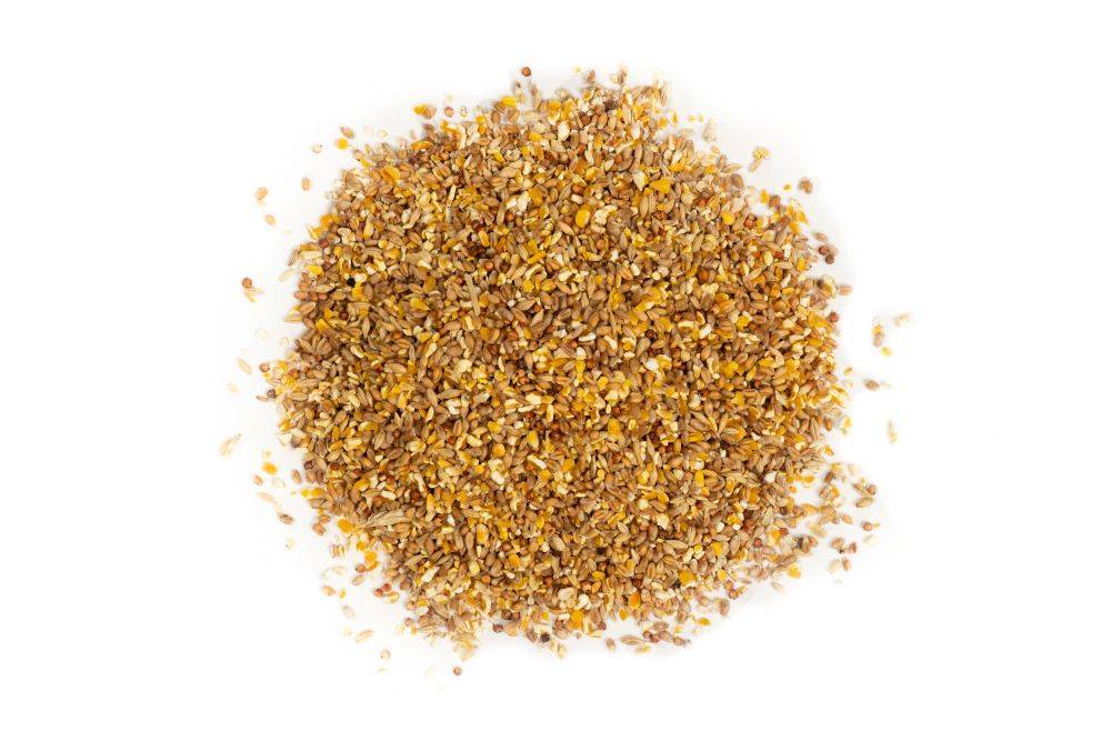 Ein Haufen gerissener Maiskörner.