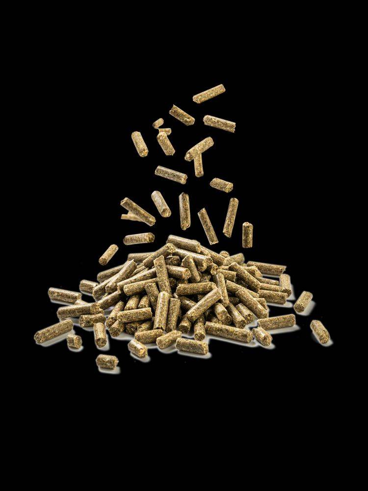 Trockene Hundefutterpellets in einem Haufen vor schwarzem Hintergrund, wobei einige Pellets von oben zu fallen scheinen.