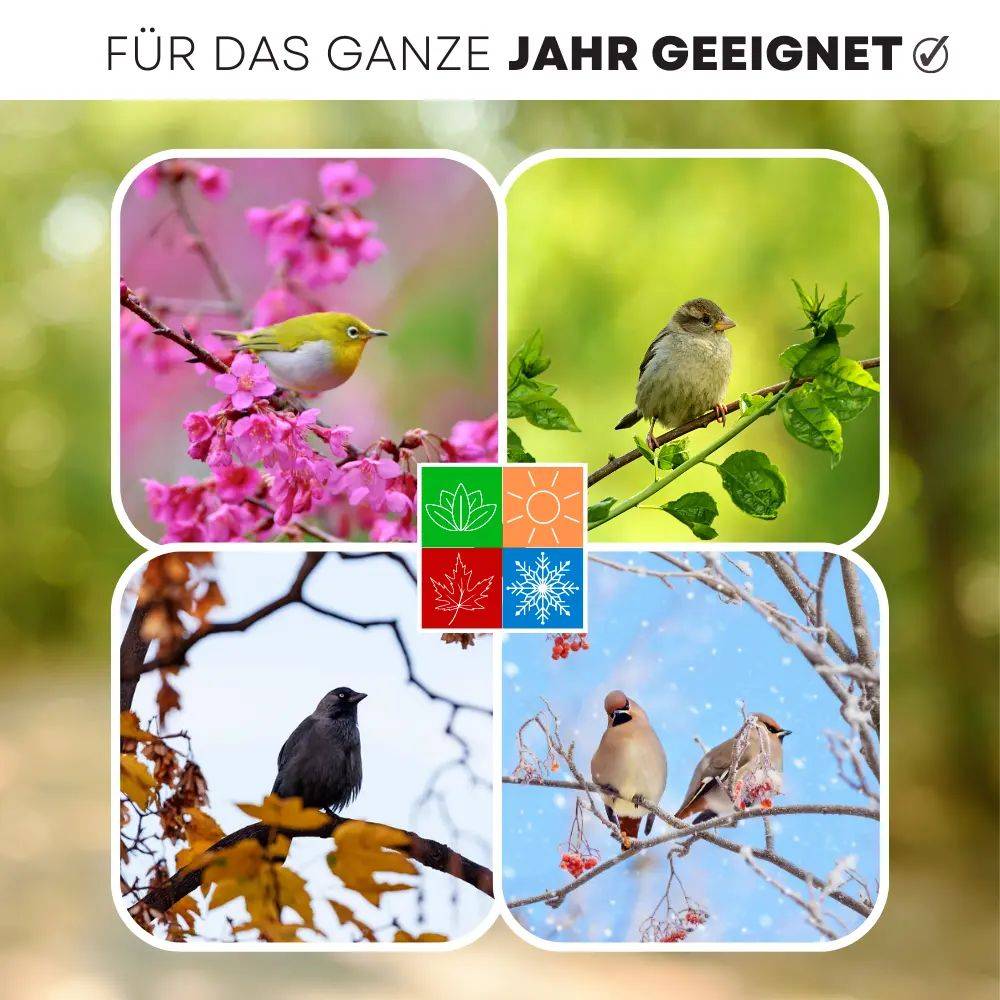 Meisenknödel mit Insekten 100 Stück Vogelfutter Fettfutter