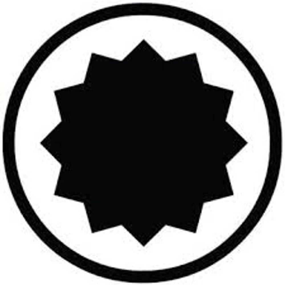 Ein schwarzes, massives Sonnenstern-Symbol in einem schwarzen Kreis auf weißem Hintergrund.