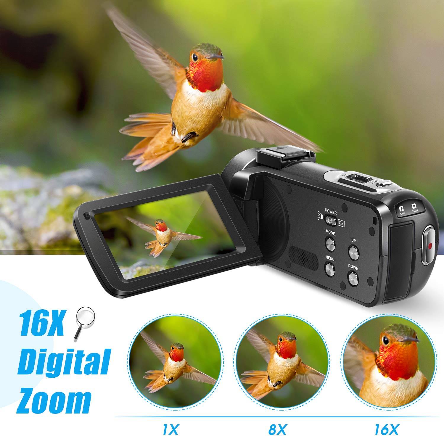 Ein Camcorder mit LCD-Bildschirm zeigt einen Kolibri an. Der Text lautet „16X Digitales Zoomen