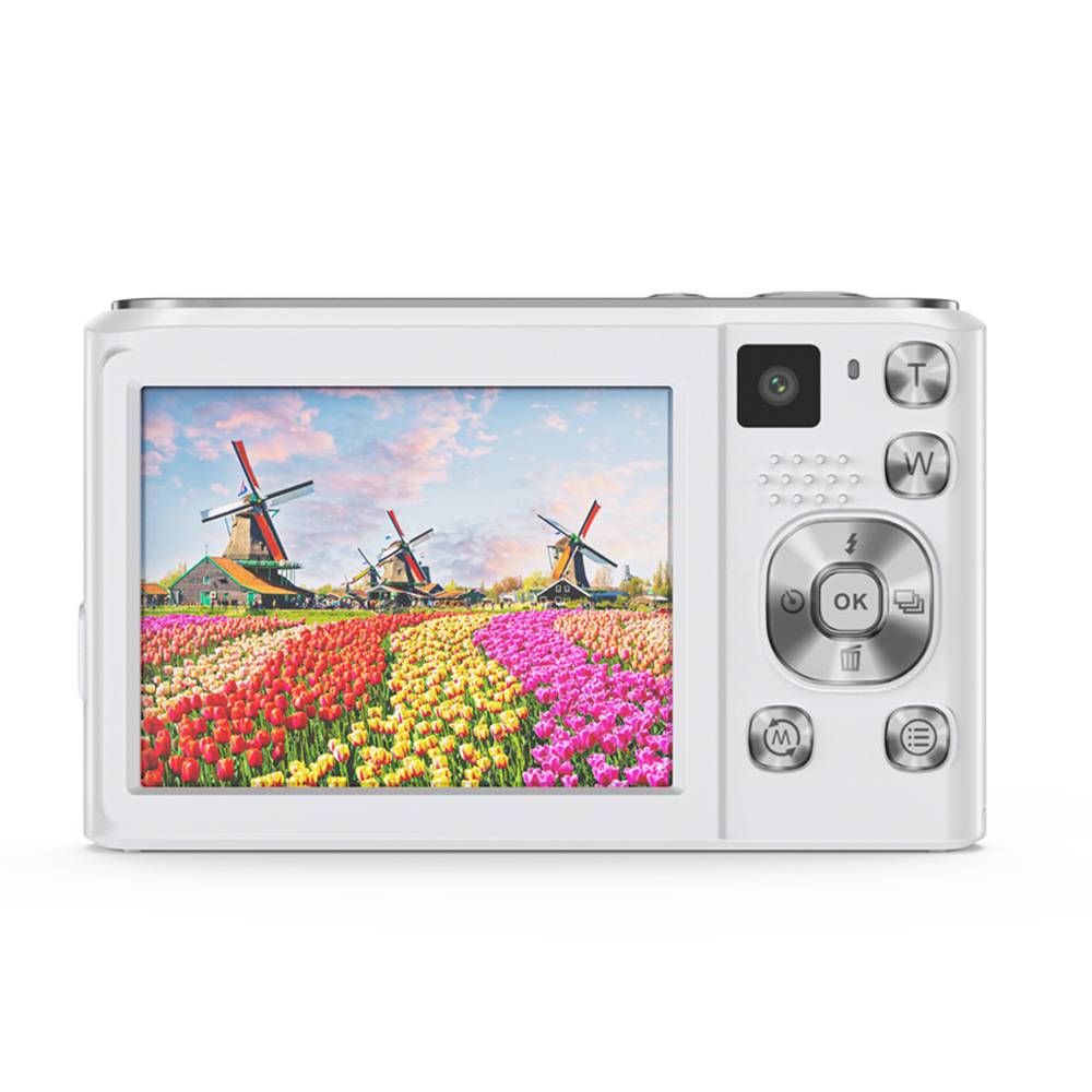 Eine Digitalkamera zeigt auf ihrem Bildschirm ein Foto von lebendigen Tulpenfeldern mit traditionellen niederländischen Windmühlen im Hintergrund.