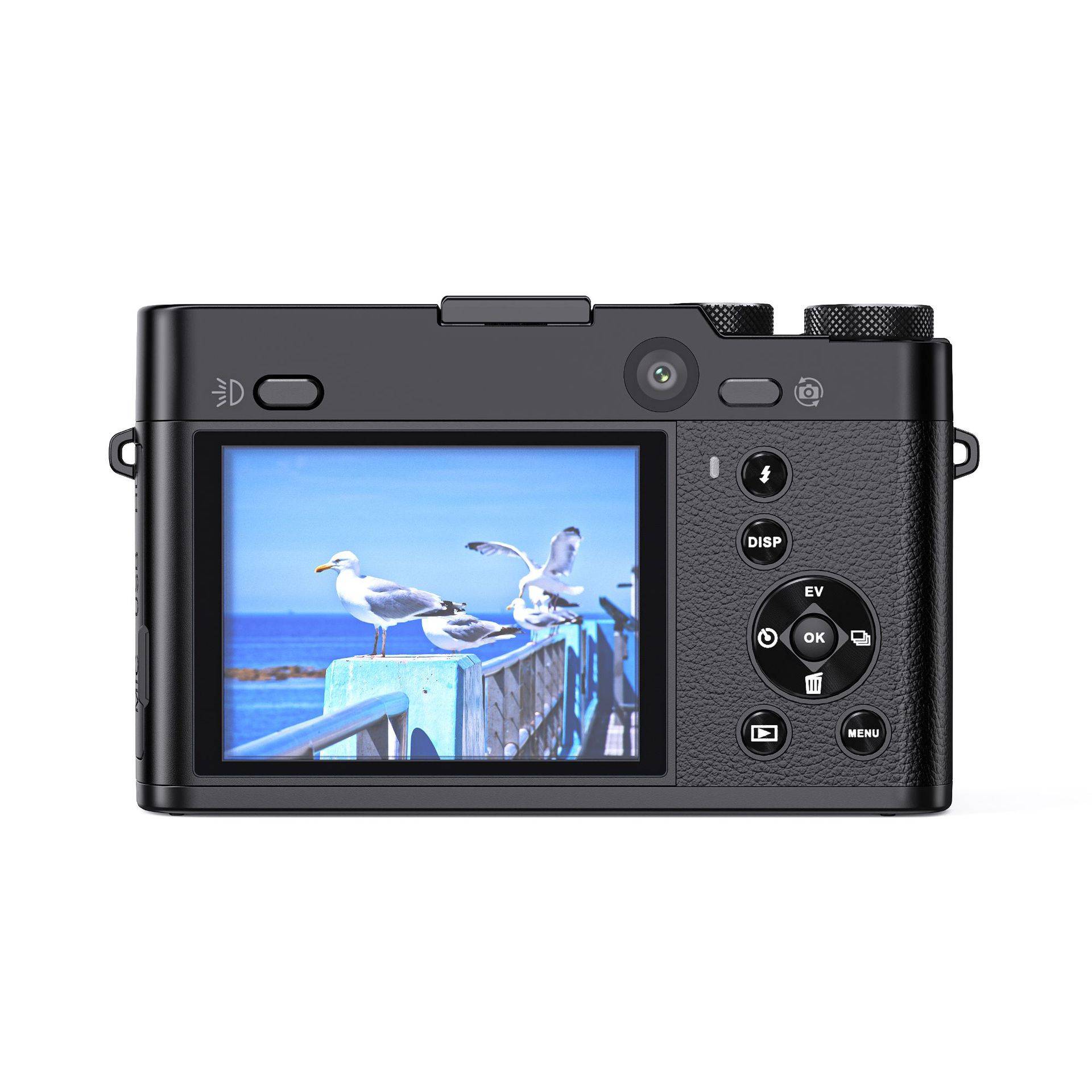 Rückansicht eines Digitalkamera-Displays, das ein Foto von Möwen zeigt, die auf einem Holzzaun am Meer sitzen.