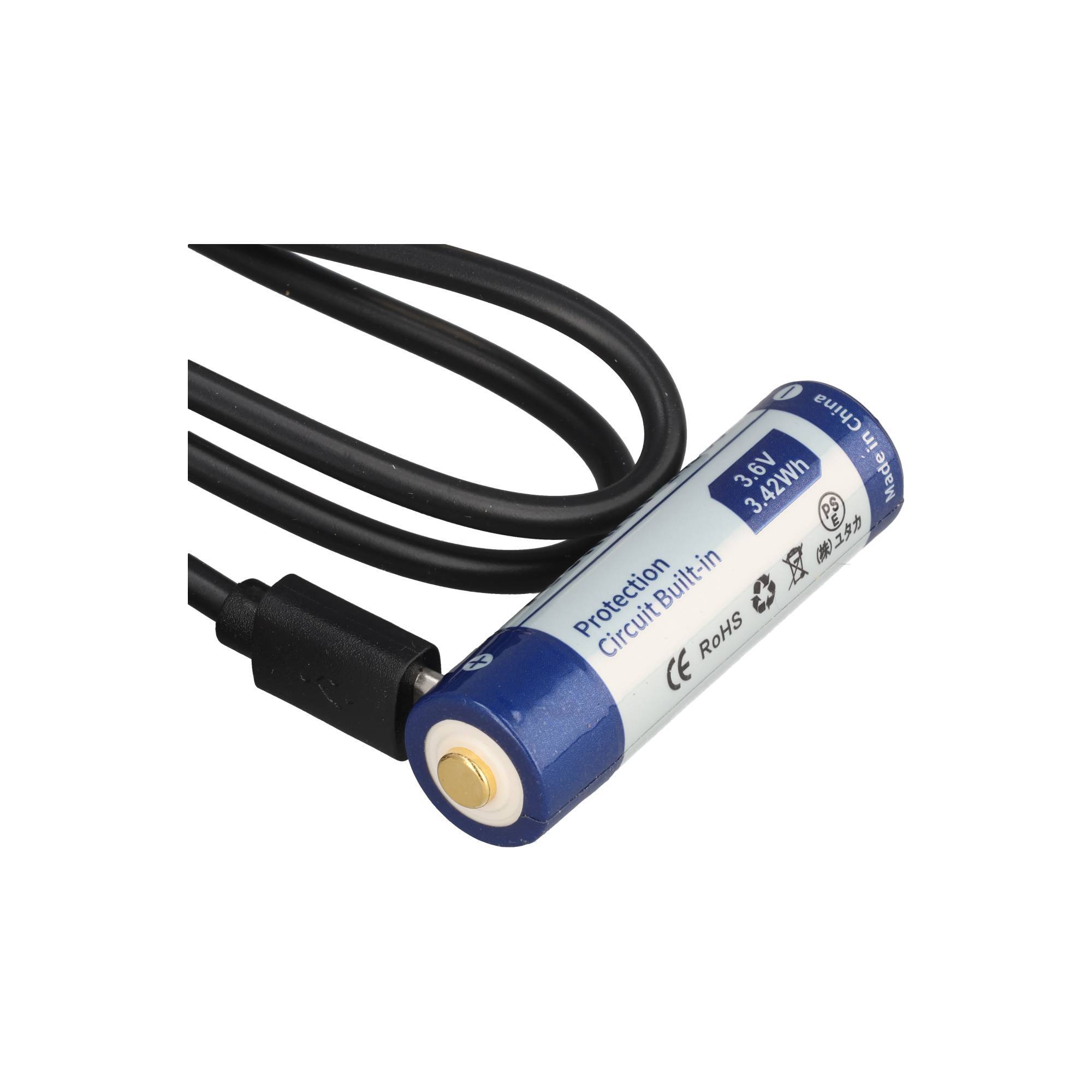 Einzelne AA-Lithiumbatterie mit angebrachtem schwarzem Kabel, gekennzeichnet mit 3,6V 2,4Wh und „Schutzschaltung eingebaut