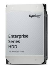 Synology Festplatte - Enterprise - 12 TB - intern - 3.5" (8.9 cm)