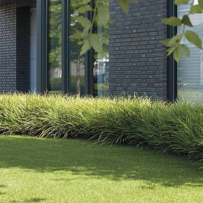 Ein modernes Backsteingebäude mit großen Fenstern wird durch üppige grüne Pflanzen und Gras im Vordergrund teilweise verborgen.