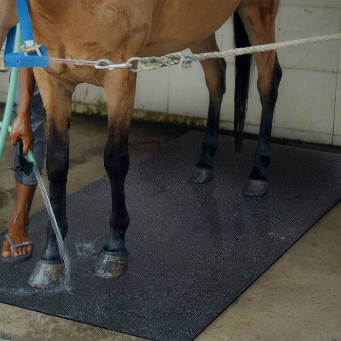 Eine Person wäscht die Beine eines Pferdes mit Wasser in einem gefliesten Bereich. Der untere Körper und die Beine des Pferdes sind sichtbar und stehen auf einer Gummimatte.