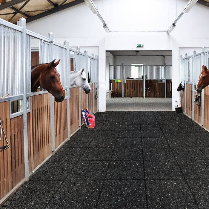 Pferde in Stallboxen mit ihren Köpfen außerhalb, die einen Gang in einer modernen, gut ausgeleuchteten Reitanlage hinunterblicken.