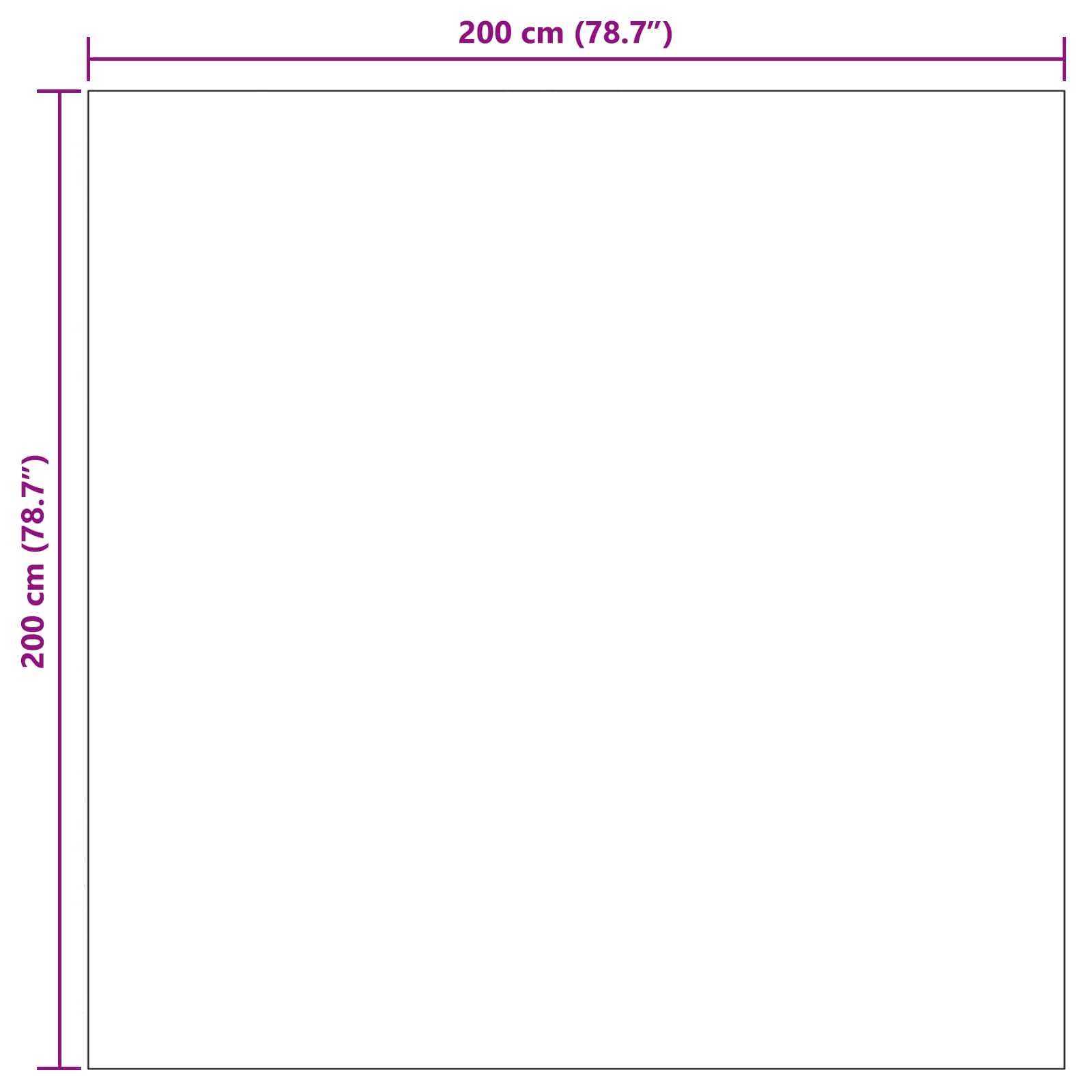 Quadrat mit beschrifteten Abmessungen: 200 cm (78,7'') × 200 cm (78,7'').