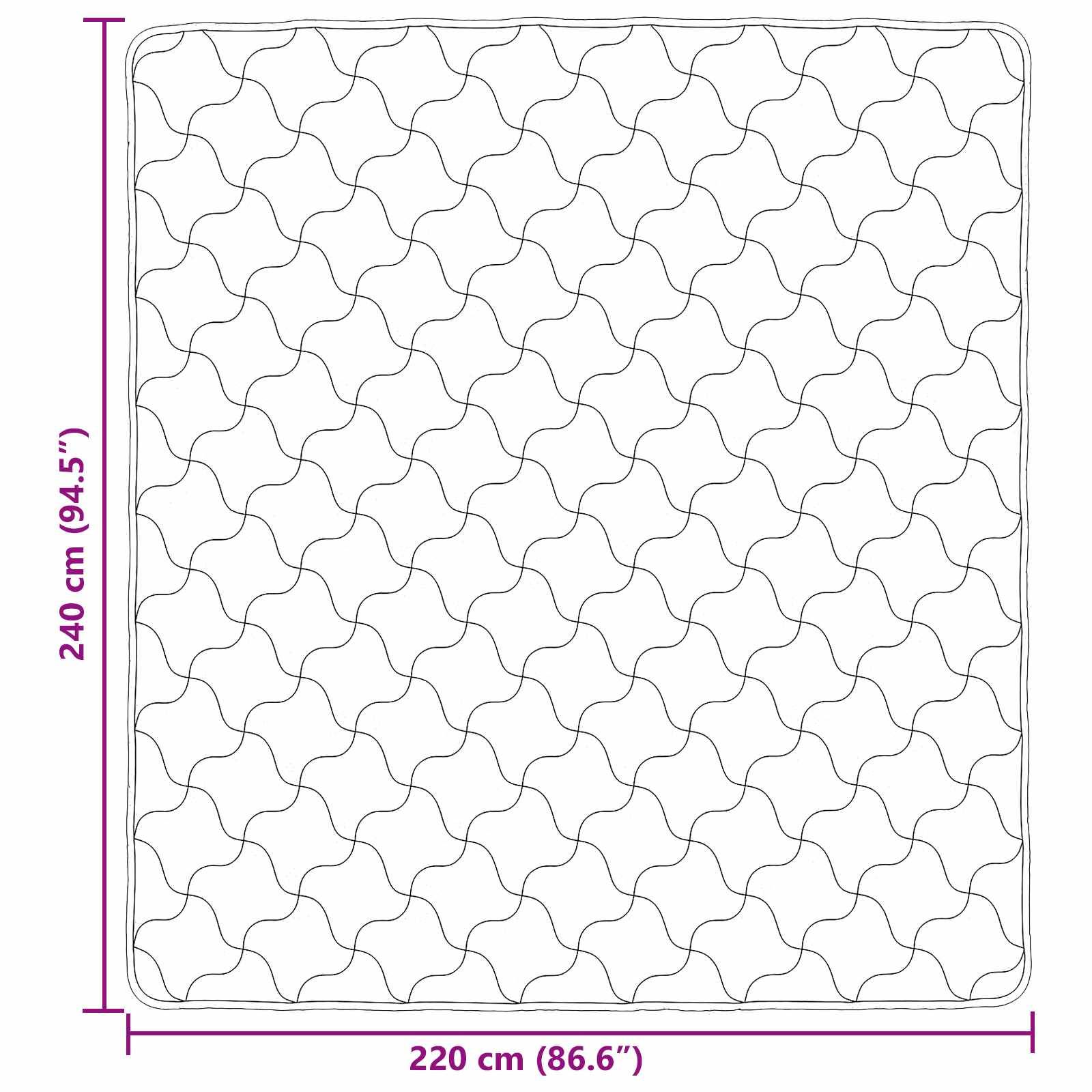 vidaXL Winterbettdecke Gepolstert Anthrazit 220 x 240 cm