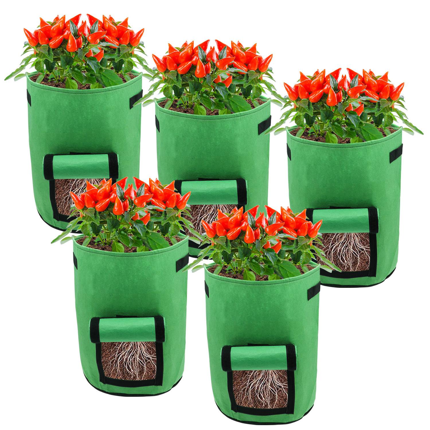 Fünf grüne Stoffpflanzengrowbags mit jeweils blühenden roten Blüten und einer sichtbaren Seitenlasche, die Wurzeln zeigt, und die Pflanzenwachstum veranschaulicht.