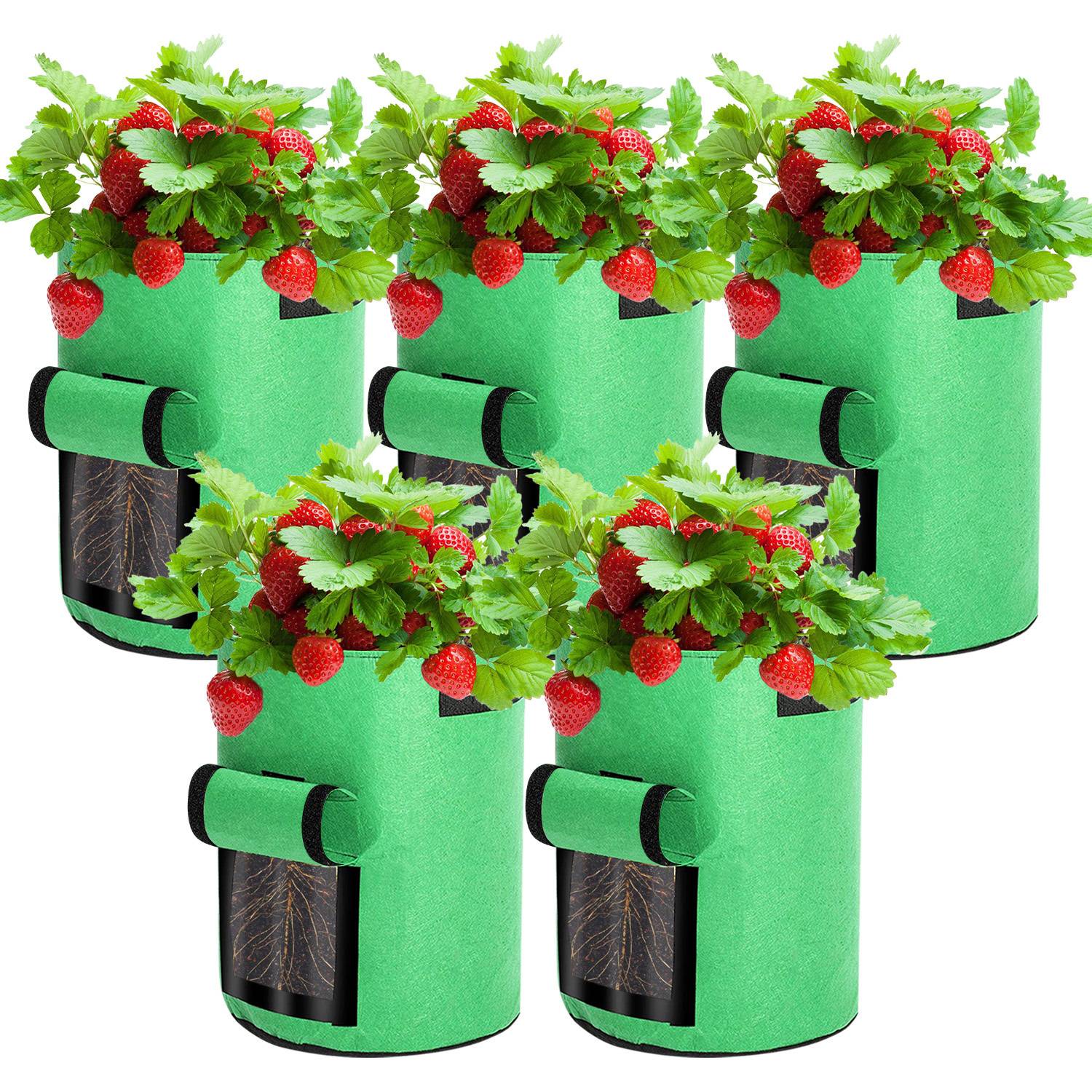 5er Set Pflanzsack 38 L aus Vliesstoff – Pflanzbeutel für Kartoffeln, Tomaten, Gemüse & Blumen
