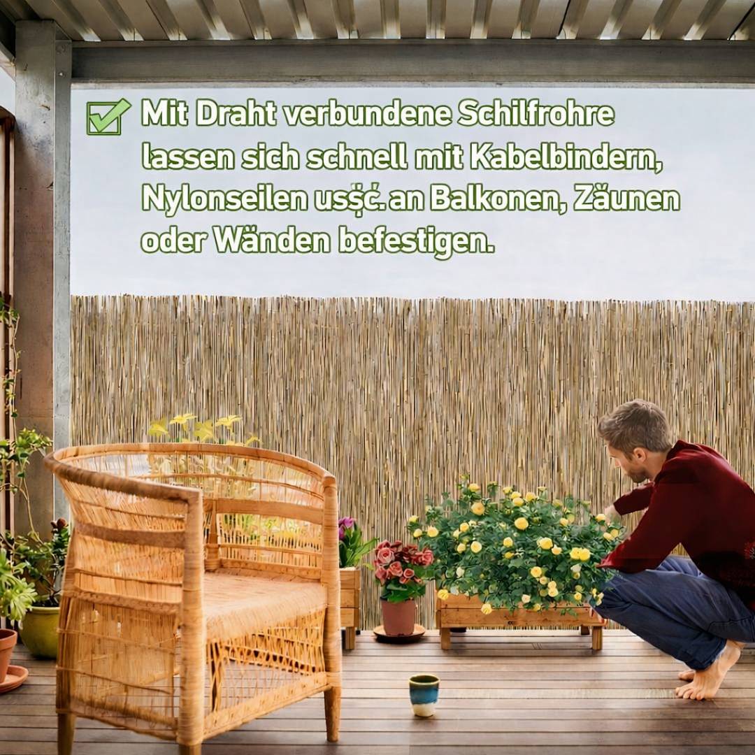 Eine Person stellt eine Pflanze auf ein Holzdeck neben einen Schilfschirm. Auf dem Schirm ist ein deutscher Text über die Befestigung von Schilf mit Bindungen sichtbar.