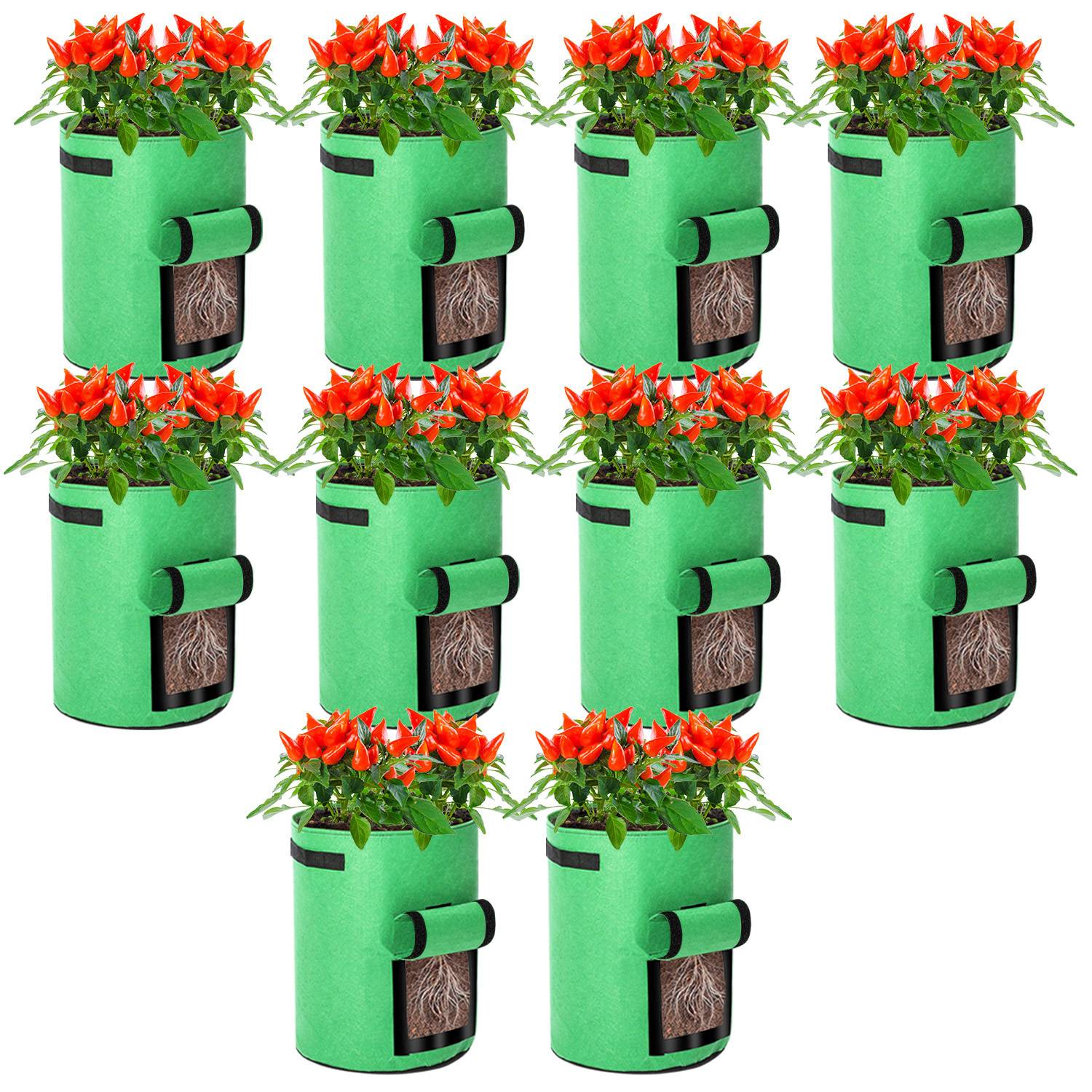 Zehn grüne Pflanzensäcke, jeweils mit leuchtend roten Blumen und sichtbaren Seitentaschen, in zwei Reihen zu je fünf angeordnet.