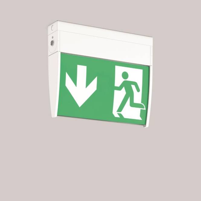 Notausgangsschild mit grünem Hintergrund, das eine Person zeigt, die durch eine Tür läuft, und einen nach unten weisenden Pfeil, der die Ausgangsrichtung angibt.