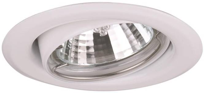 Eine moderne Einbau-Deckenleuchte mit metallischer Reflexionsfläche und ovalem Design, geeignet zur Verbesserung der Innenbeleuchtung.