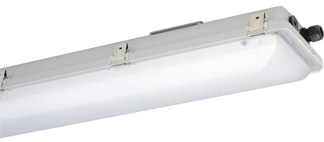 SCHUCH Ex-Wannenleuchte IP66 e865F 12L42 Zone 1/21/2/22 28W 4360lm 65K 1250mm sat Innenleuchten