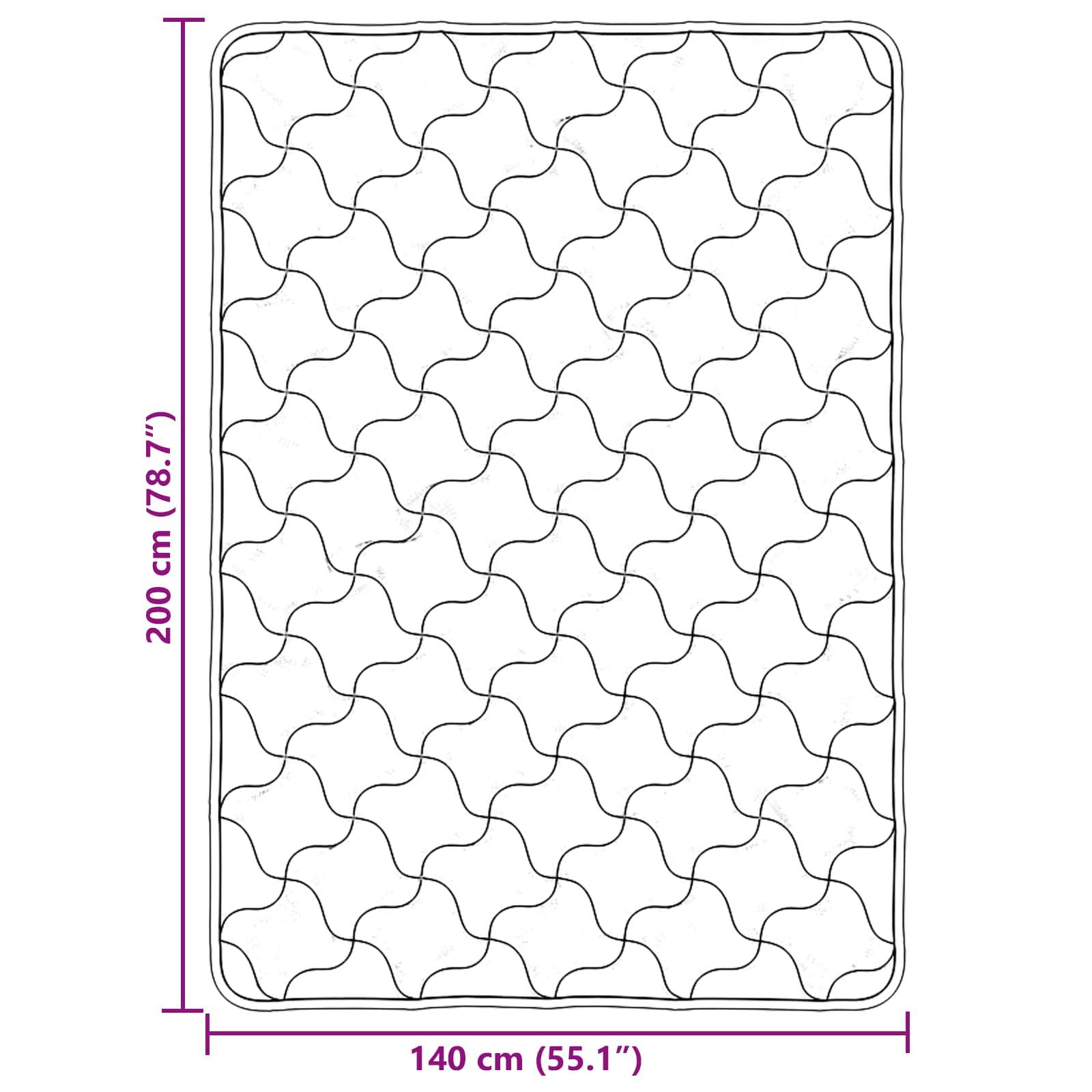 vidaXL Sommerdecke Schwarz 140 x 200 cm Mikrofaser und Teddy-Fleece