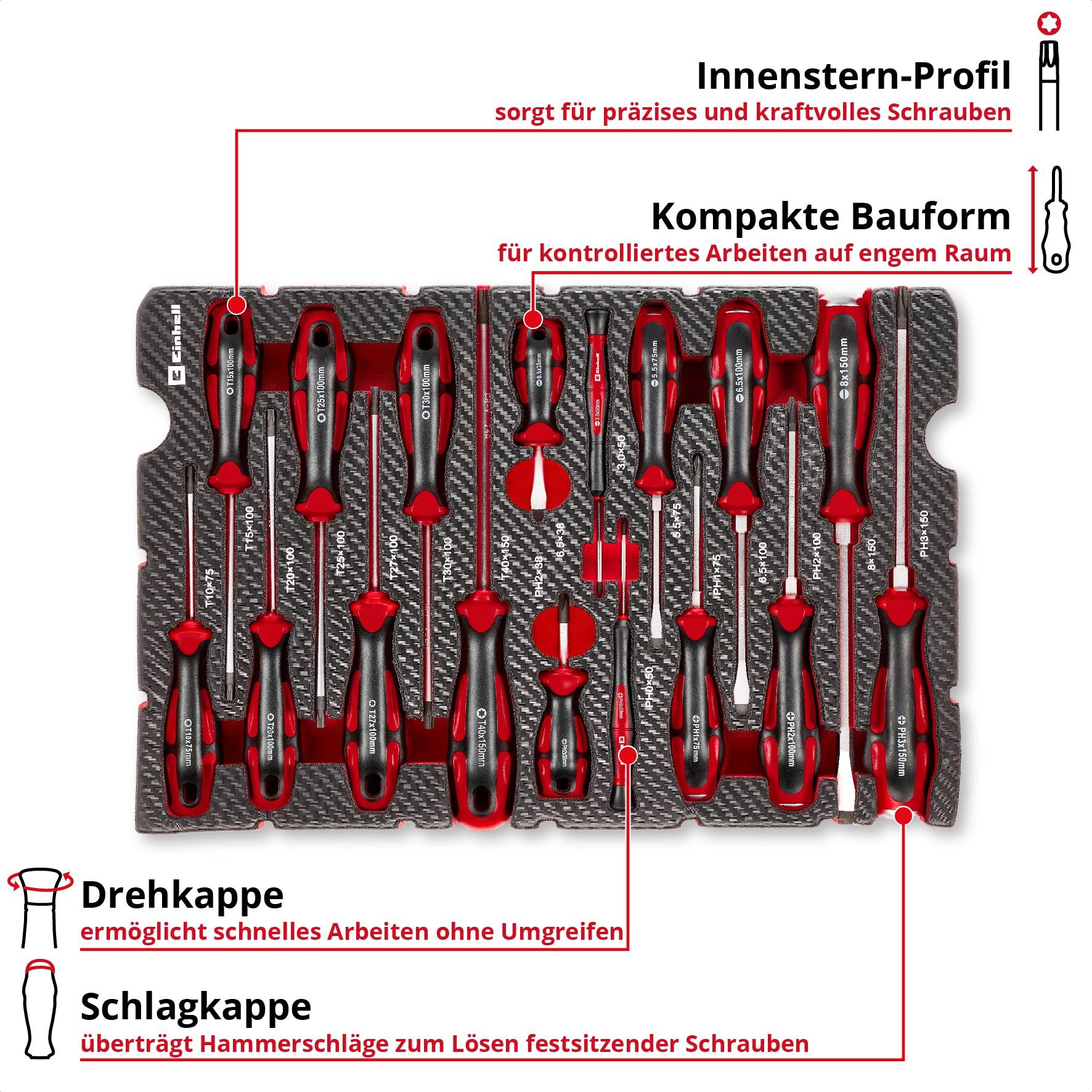 EINHELL E-Case-Einleger Schraubendreher, 370525, 17-teilig