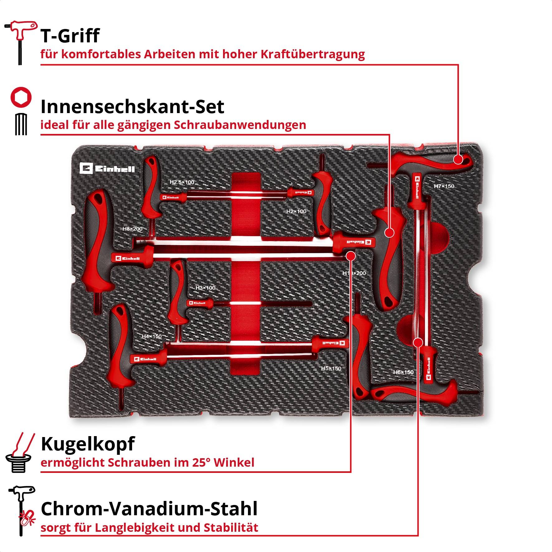 EINHELL E-Case-Einleger T-Griff-Schraubendreher, 370526, 9-teilig