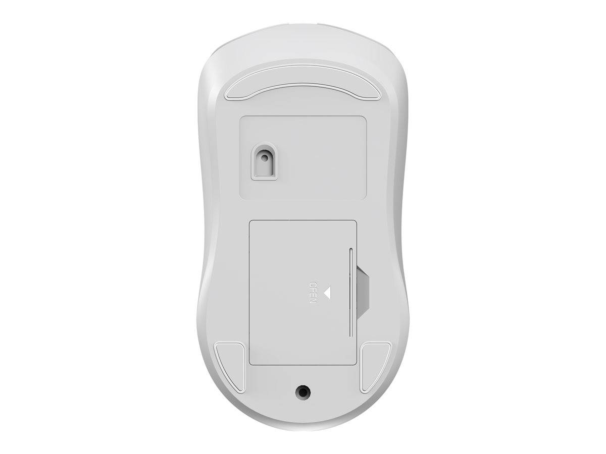SANDBERG Saver - Maus - rechts- und linkshändig - optisch - 4 Tasten - kabellos - 2.4 GHz - kabelloser Empfänger (USB)