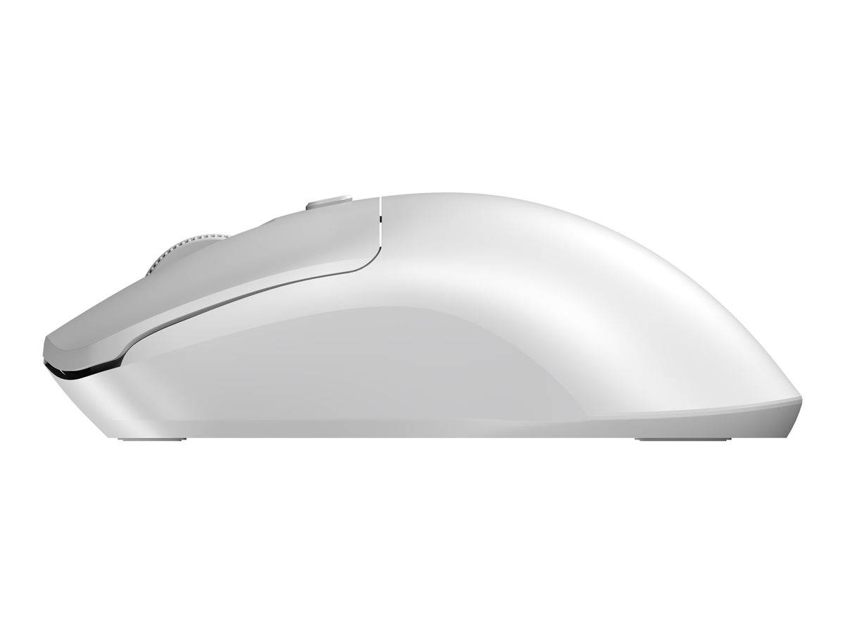 SANDBERG Saver - Maus - rechts- und linkshändig - optisch - 4 Tasten - kabellos - 2.4 GHz - kabelloser Empfänger (USB)