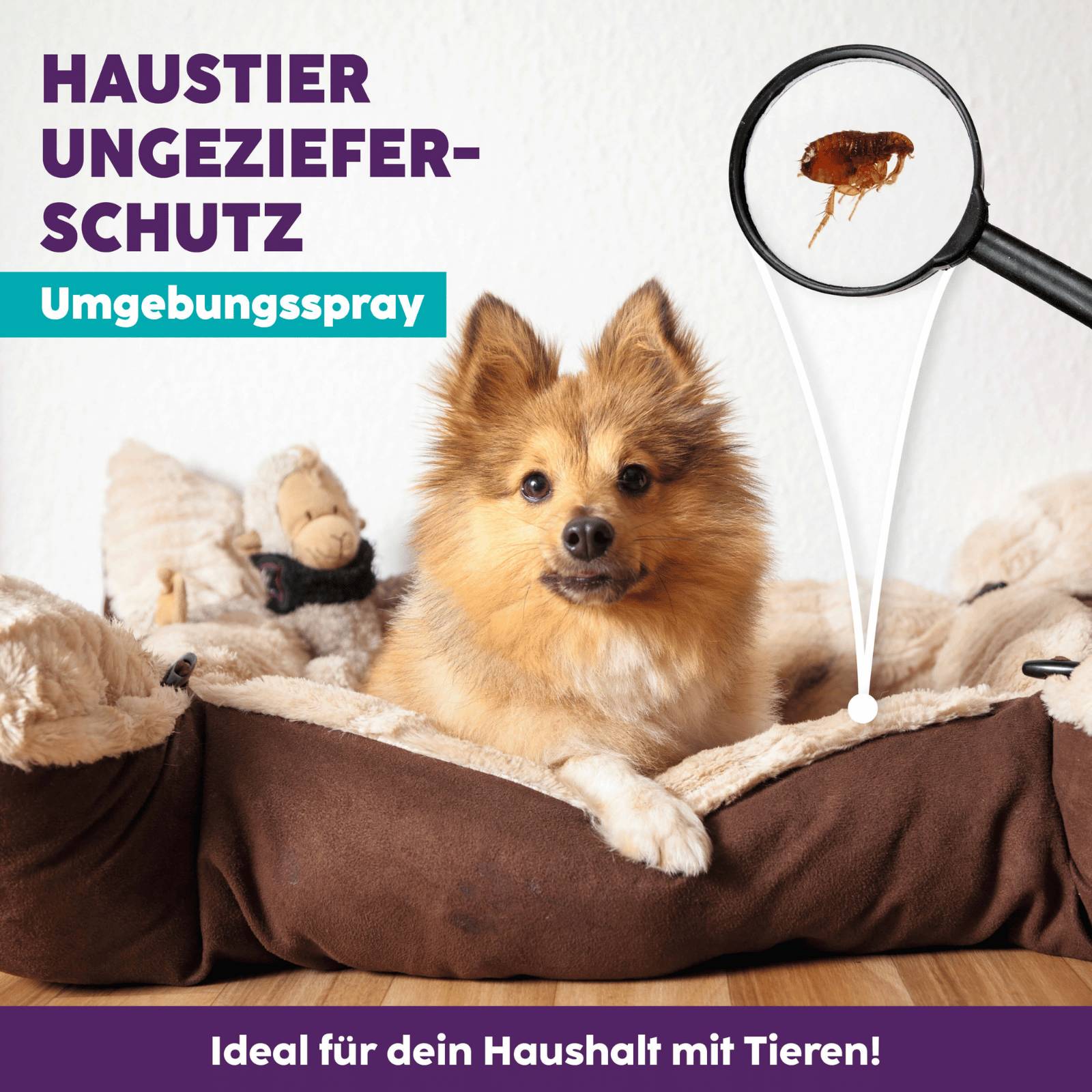 HOTREGA Petcare Haustier-Ungeziefer-Schutz Umgebungsspray 500 ml