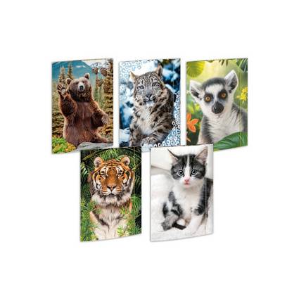 RNK Verlag Zeichnungsmappe "Tiere", Karton, A3 - Sortiment